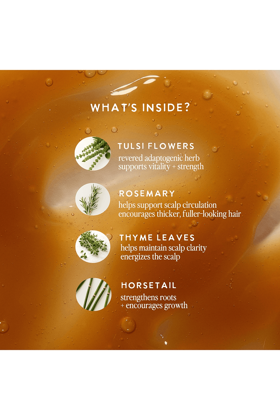 Tulsi Bloom Shampoo — Image 3