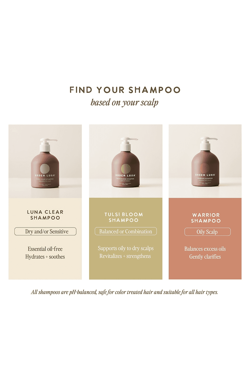Tulsi Bloom Shampoo — Image 8