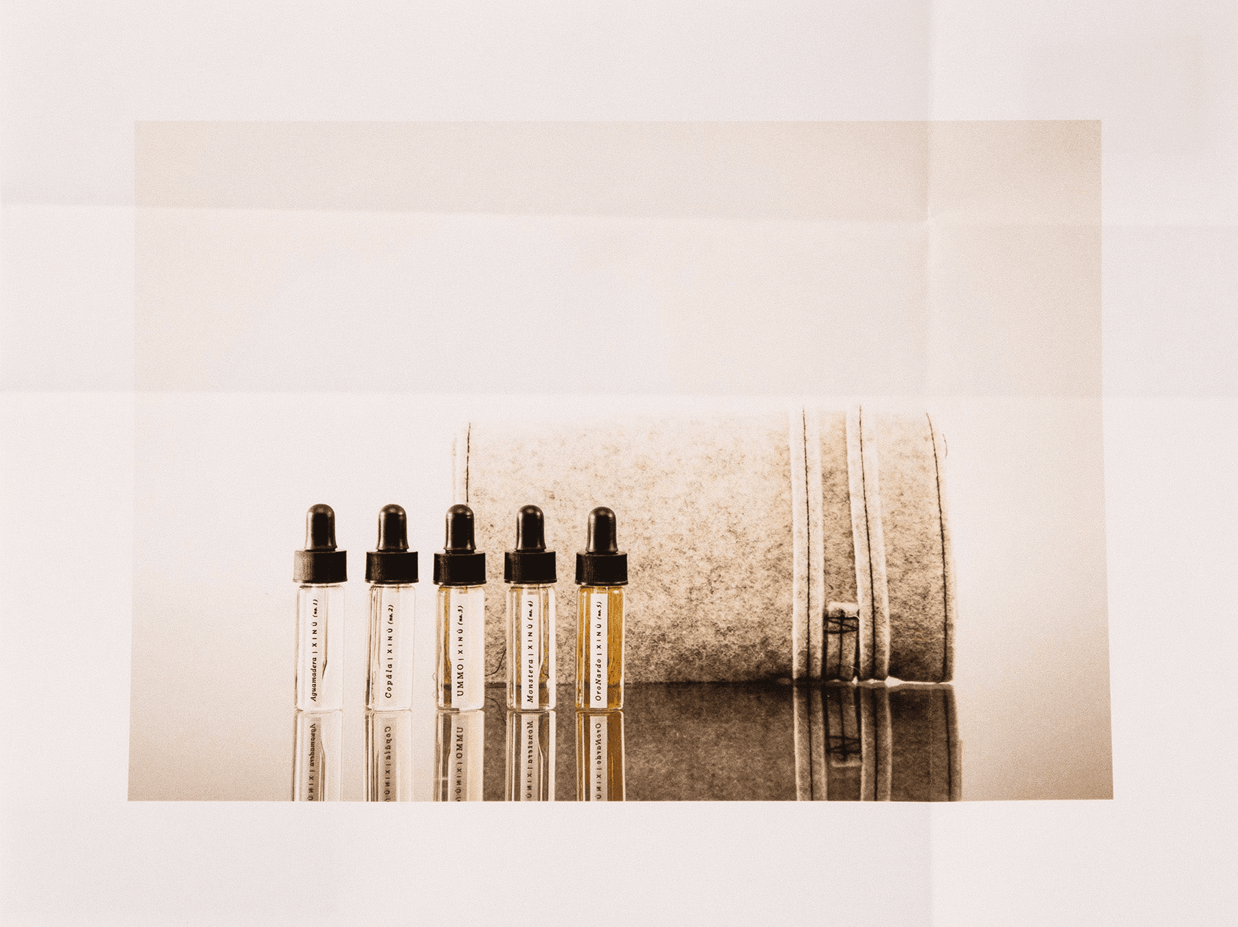 Collection Kit (Discovery Set) - Image 1