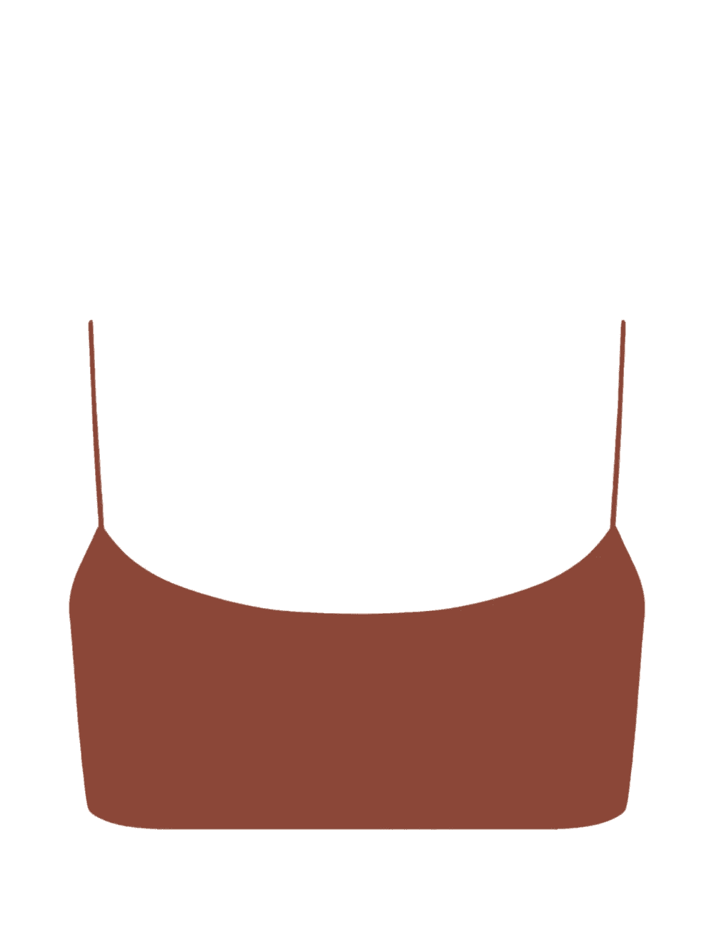 Desi bikini top - Image 1
