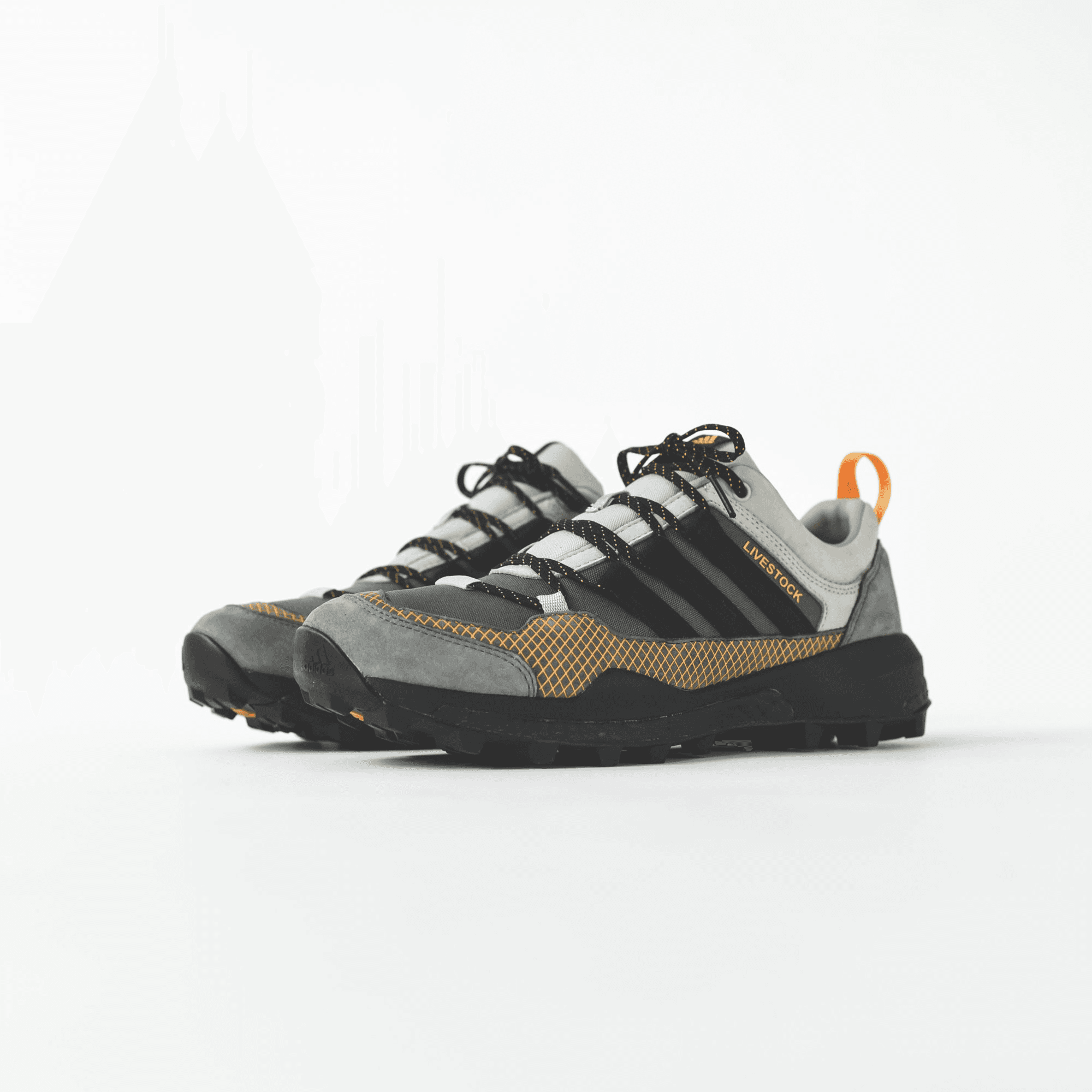 adidas Consortium x Livestock Terrex Skychaser - Grey — Image 4