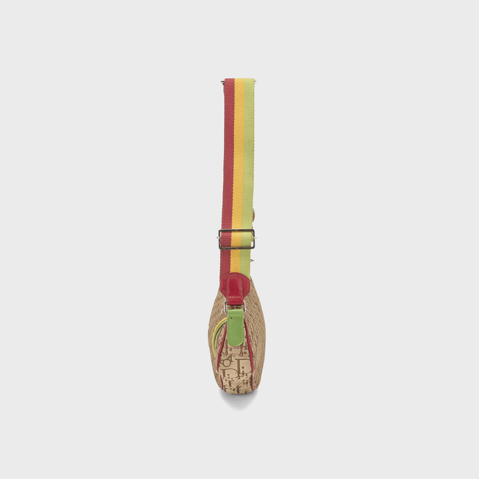 WGACA Dior Canvas Rasta Saddle Pochette - Multi — Image 6
