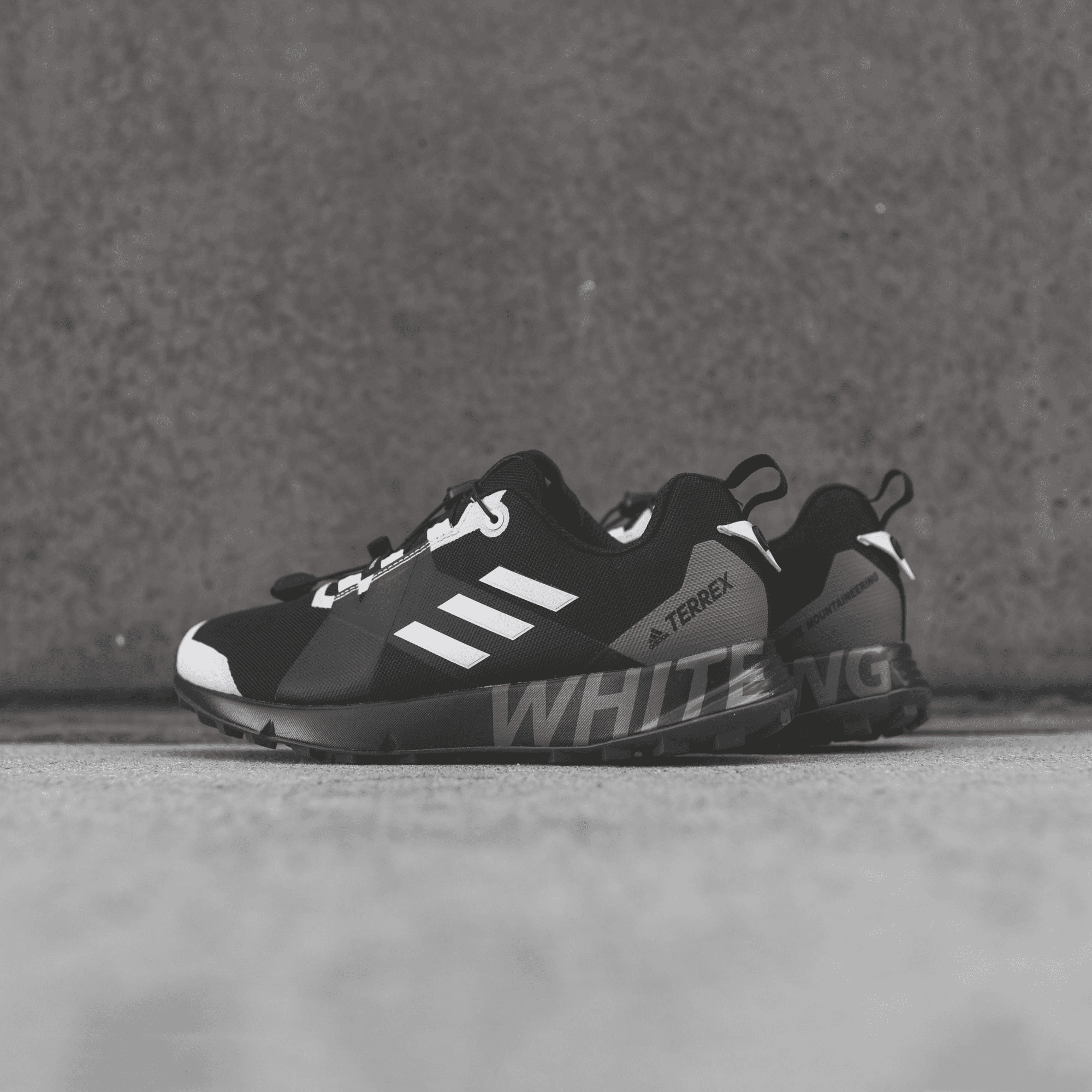 adidas Consortium x White Mountaineering Terrex 2 GTX - Black / White — Image 6