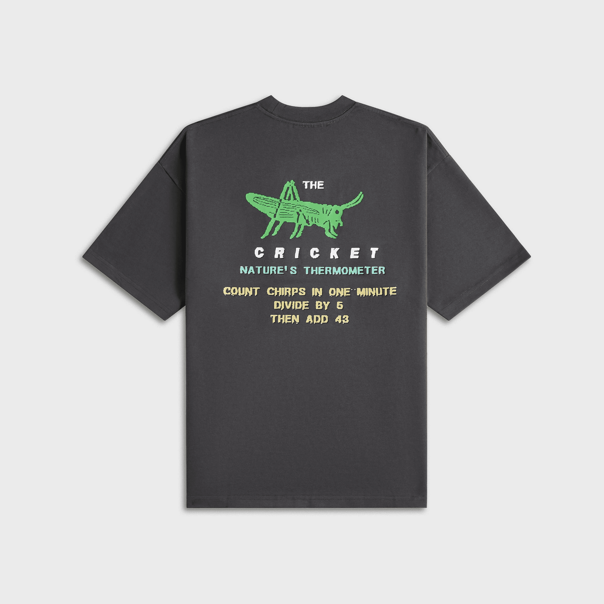 Metalwood Cricket Heavy Pocket Tee - Tar — Image 3