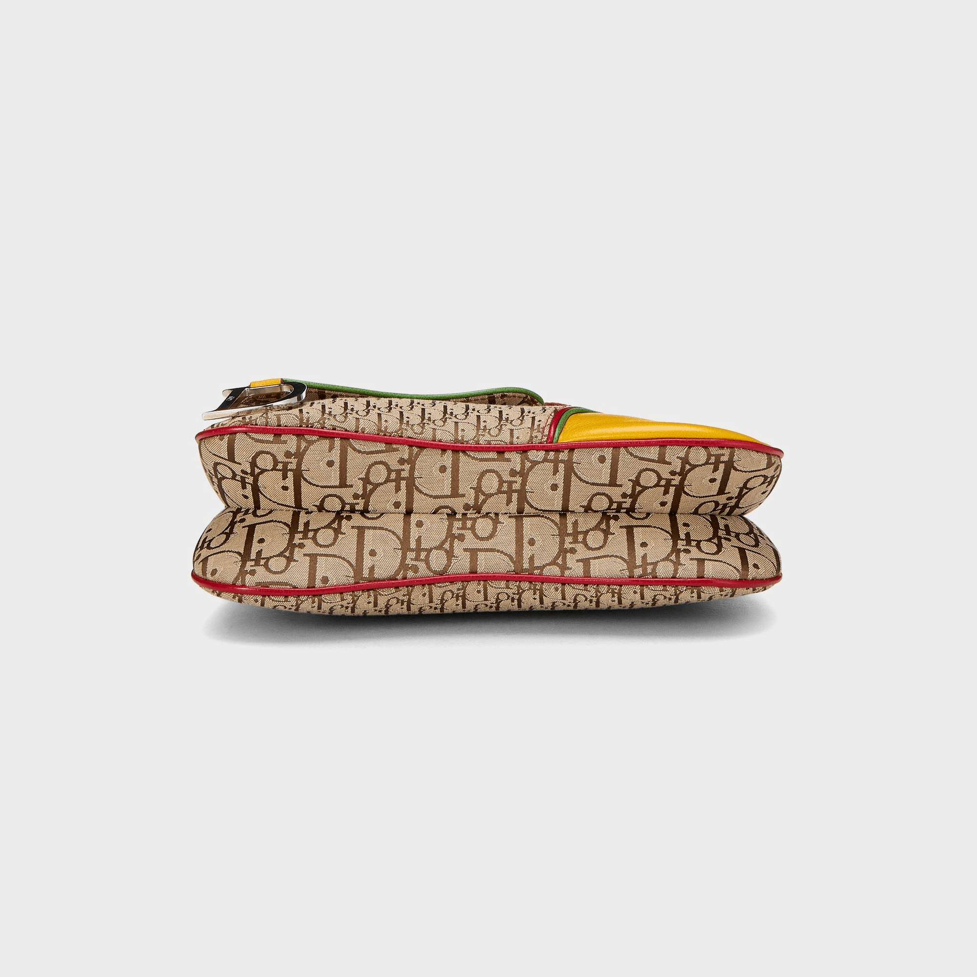 WGACA Dior Trotter Rasta Double Saddle - Multi — Image 2