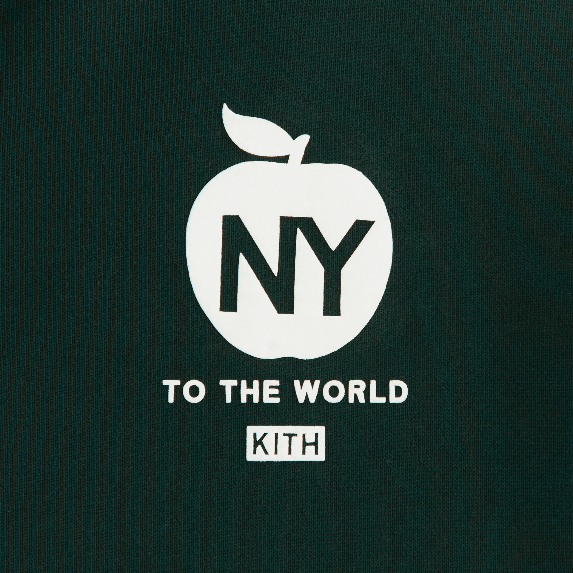 Kith Kids Logo Zip Nelson Hoodie - Stadium — Image 3