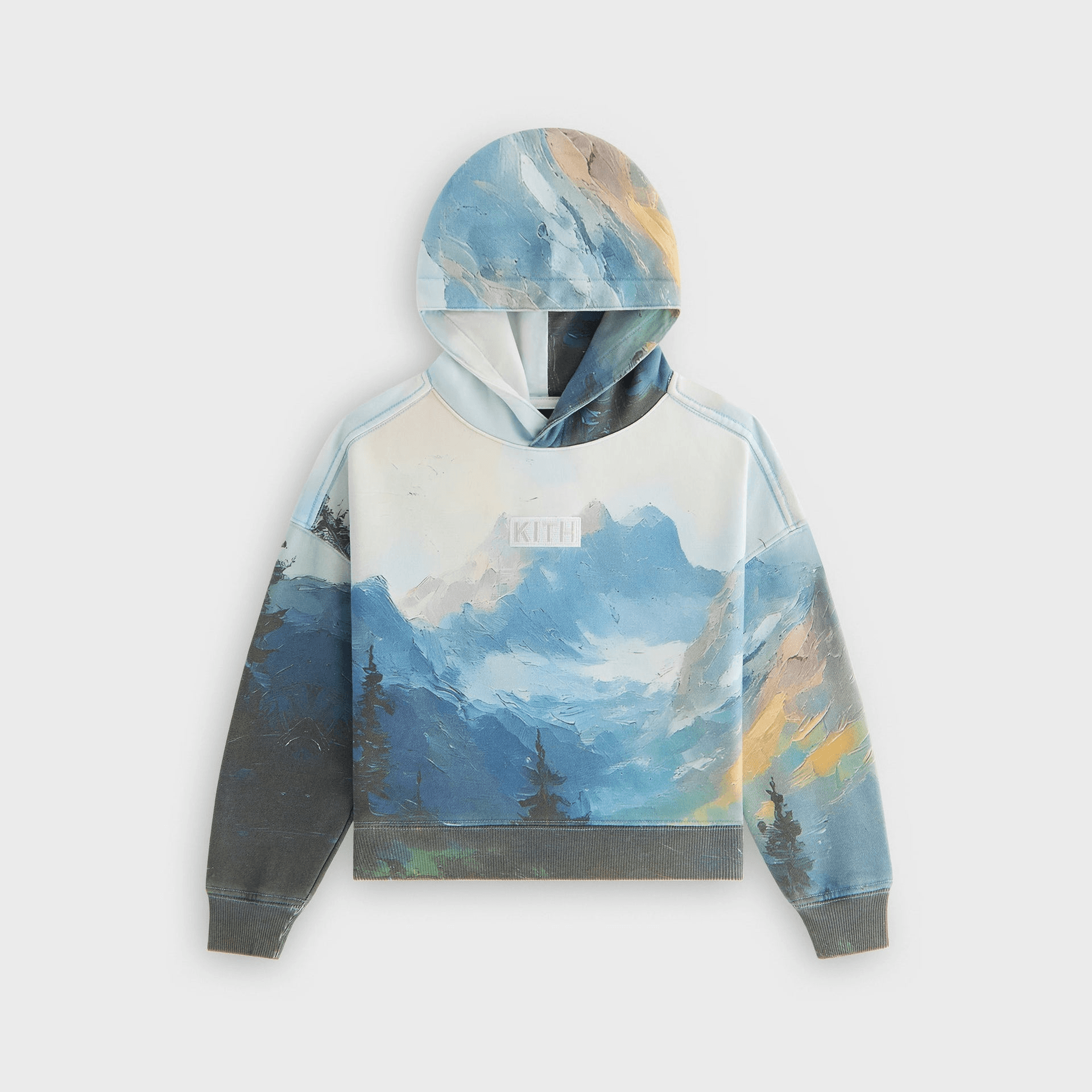 Kith Kids Printed Scenic Nelson Hoodie - Multi — Image 4