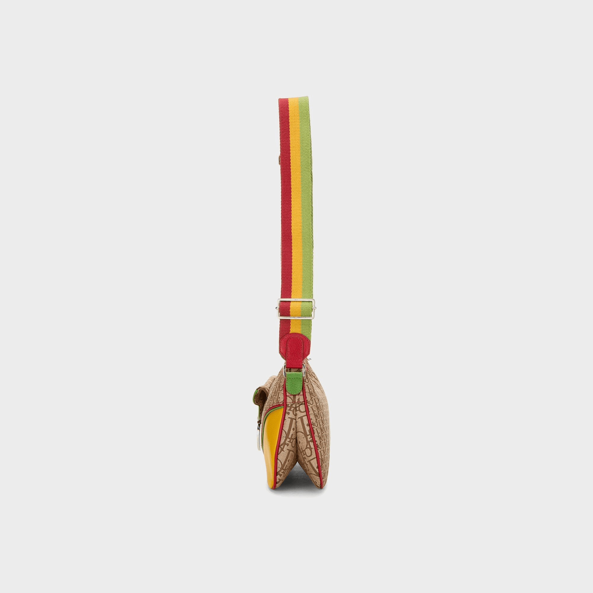 WGACA Dior Trotter Rasta Double Saddle - Multi — Image 6