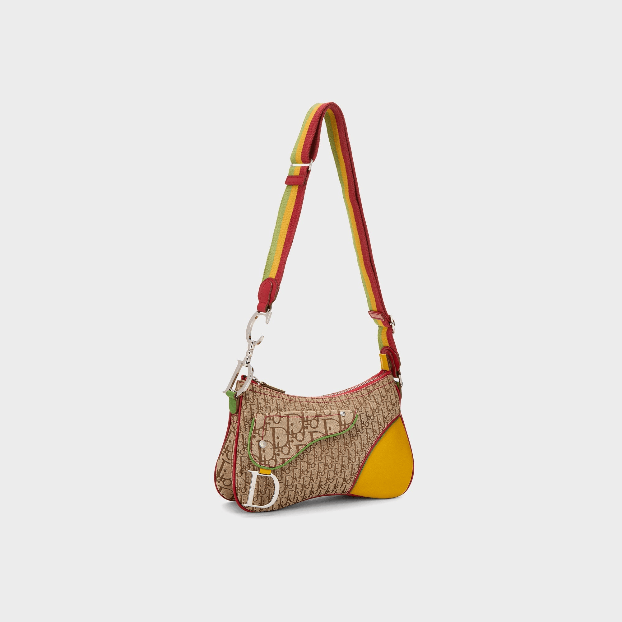 WGACA Dior Trotter Rasta Double Saddle - Multi — Image 5