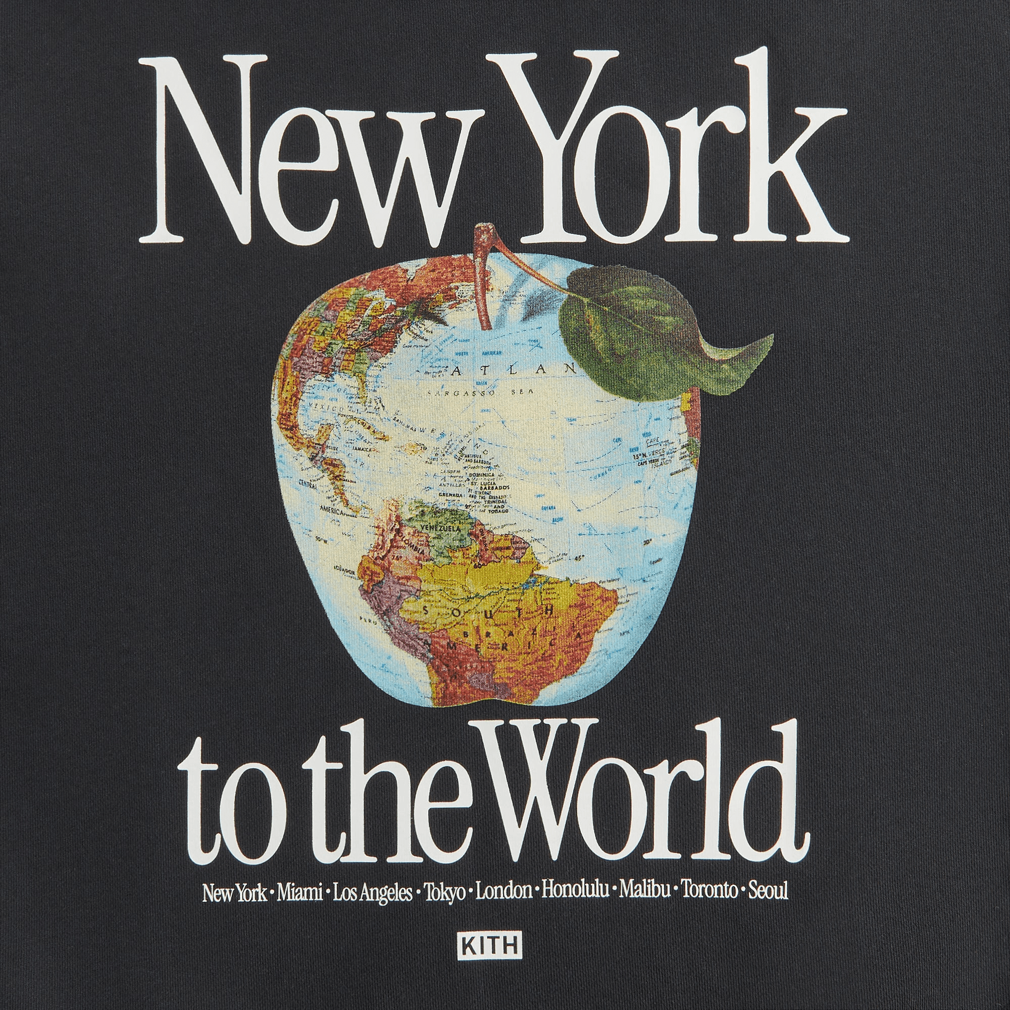 Kith Kids New York to the World Apple Globe Hoodie - Black — Image 3