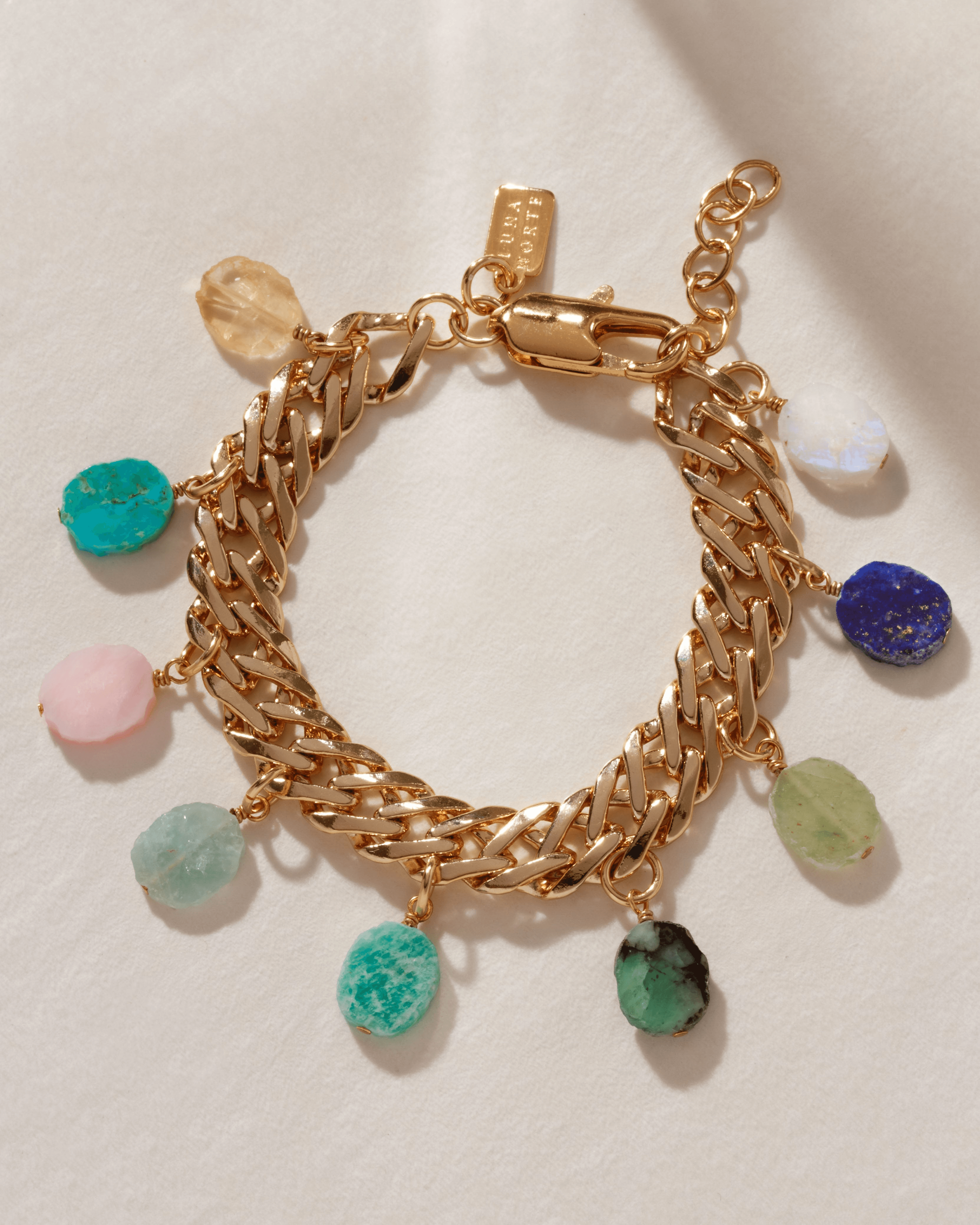 Nature's Palette Charm Bracelet - Image 1