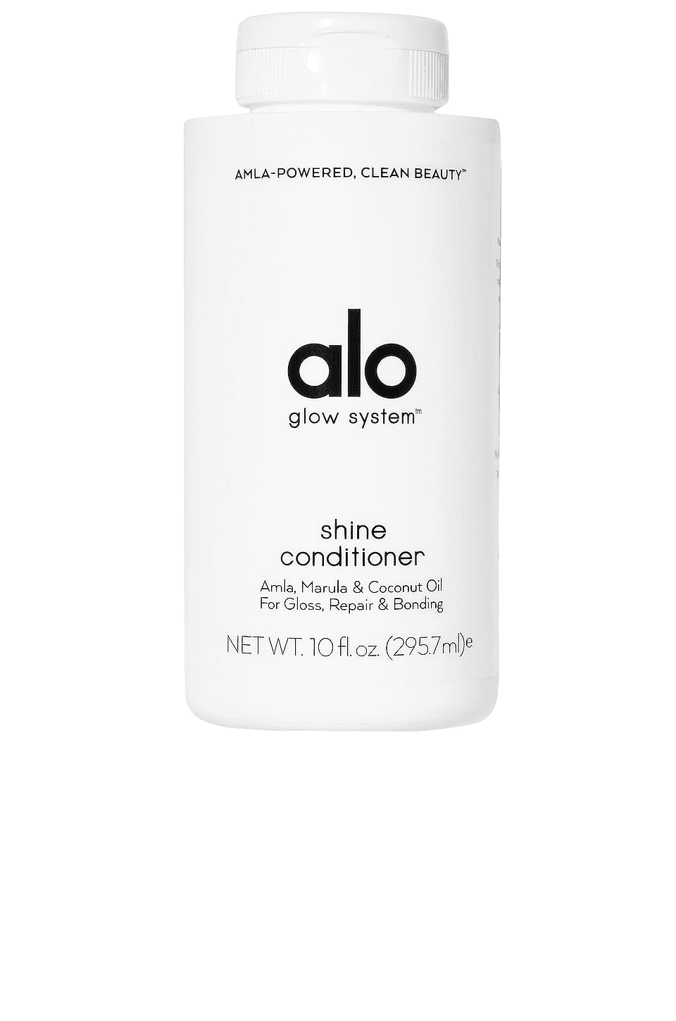 Shine Conditioner - Image 1