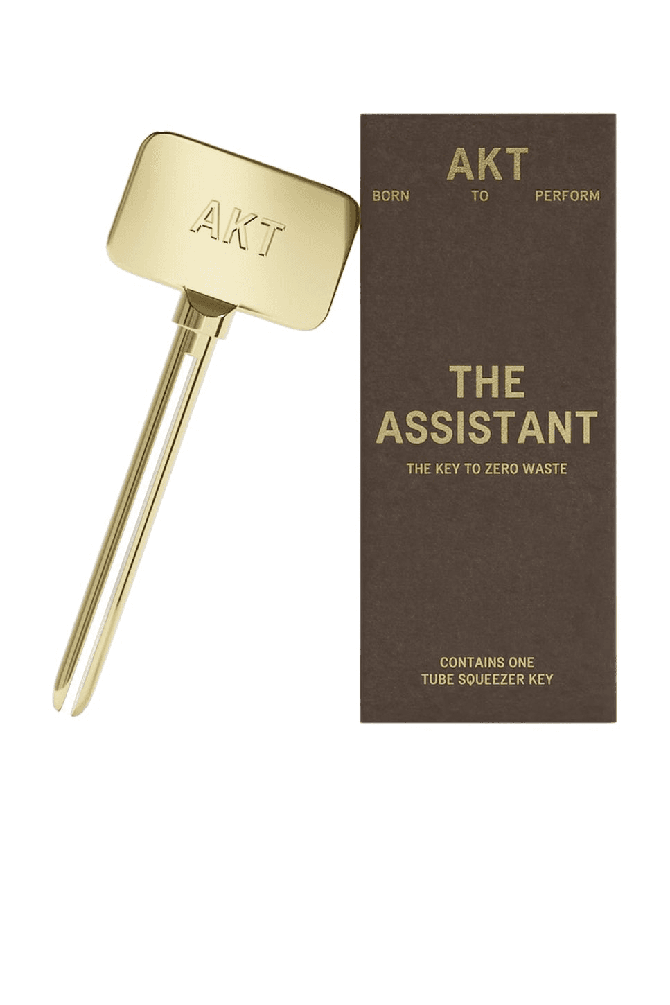 The Assistant - Image 1