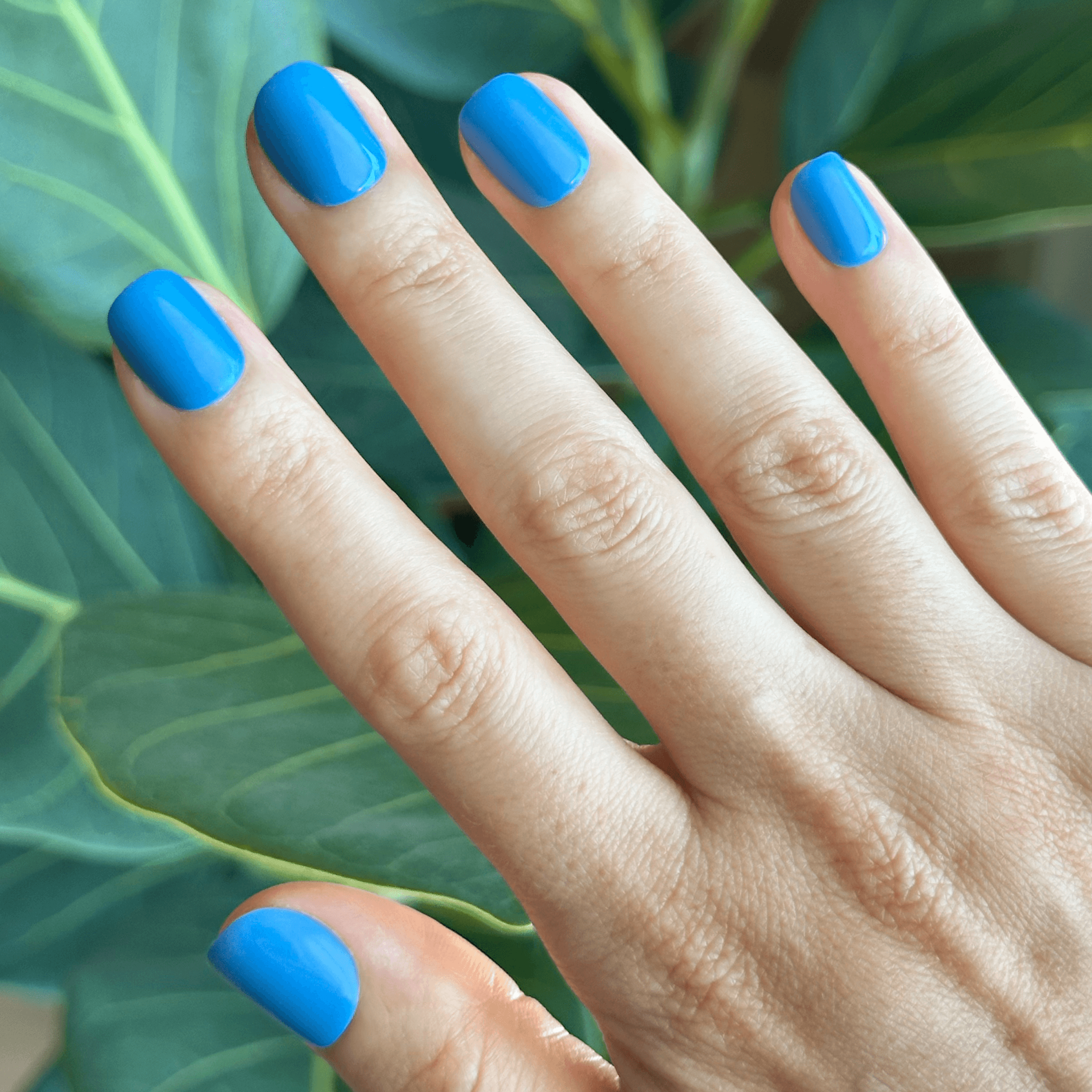 Summer Blue - Press-On | Extra Extra Short | Squoval - Image 1