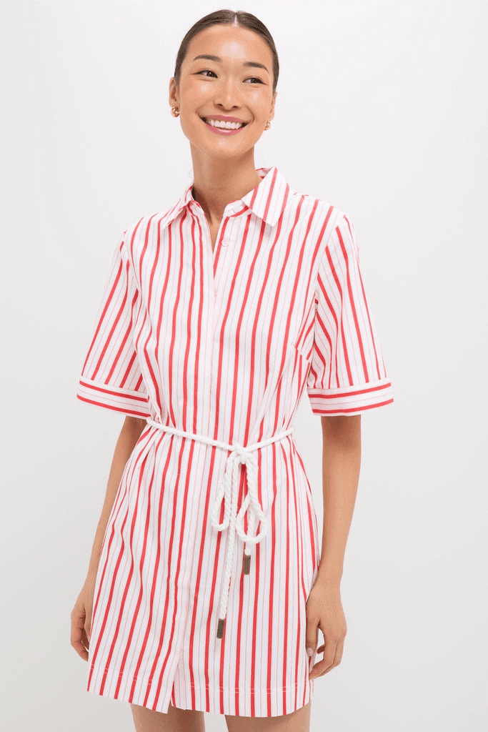 Stripe Maddie Mini Dress - Image 1