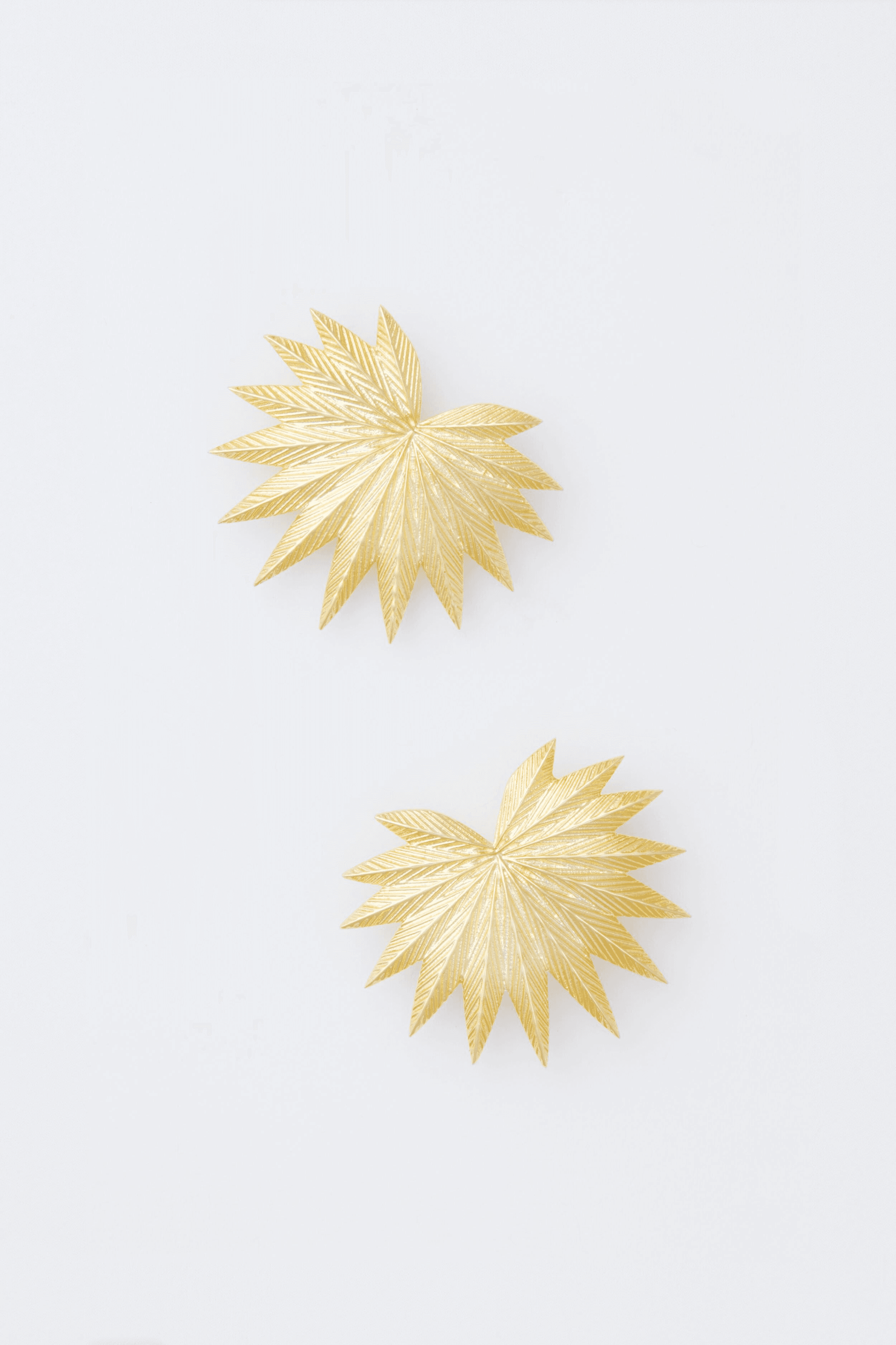 Palm Earrings - Image 1