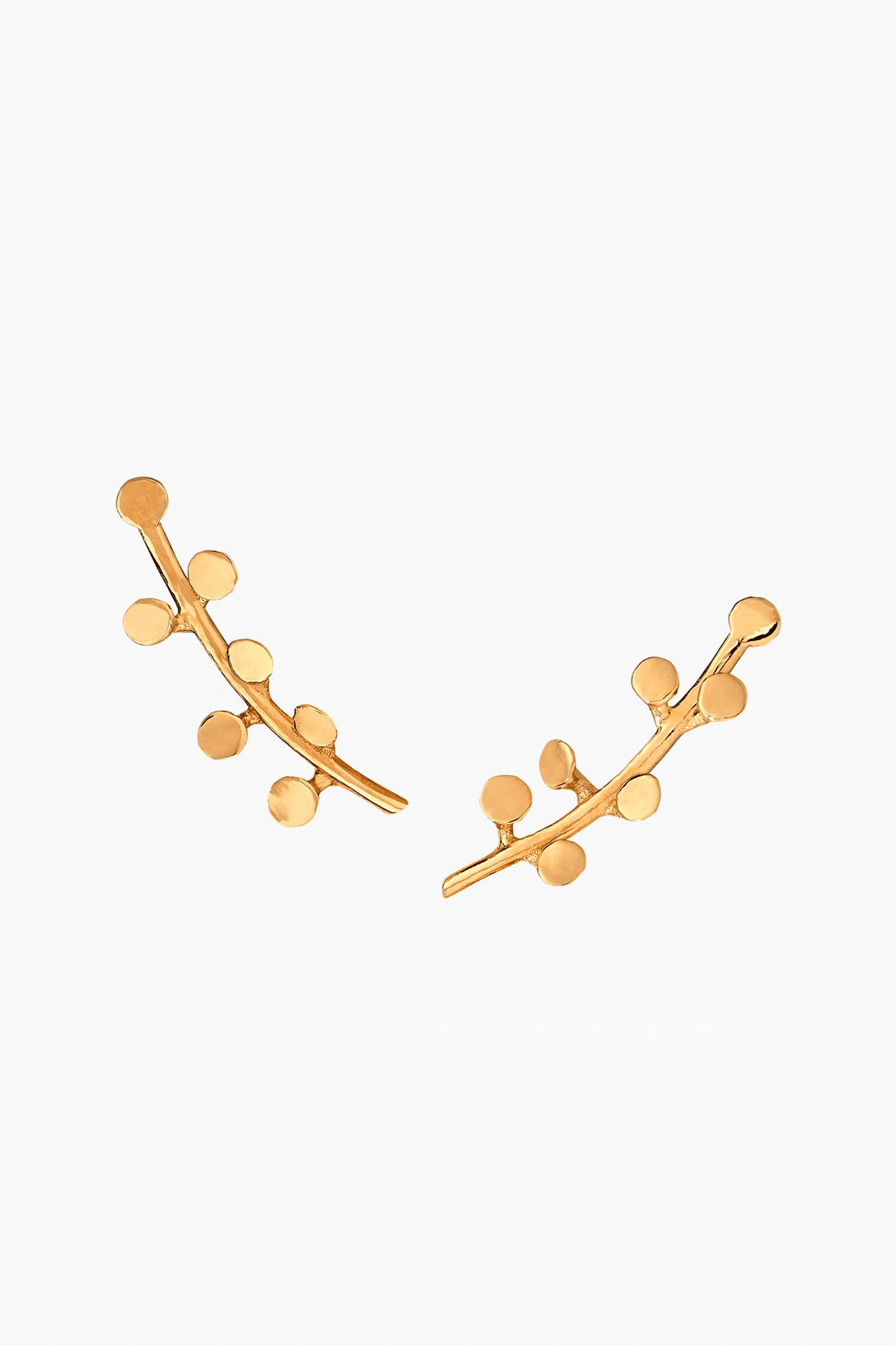 Berry Climber - Image 1