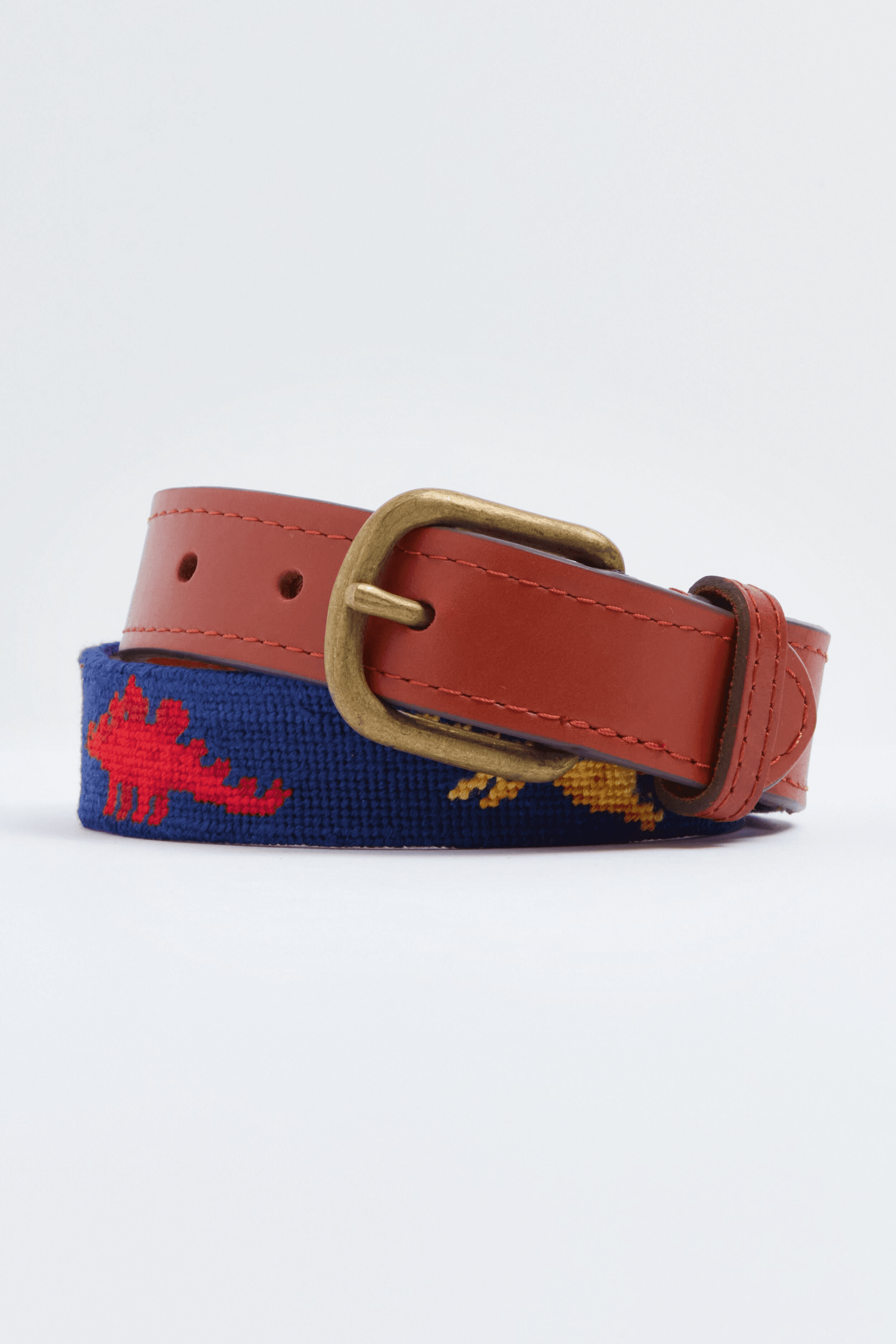 Dinosaurs Needlepoint Childrens Belt - Image 1