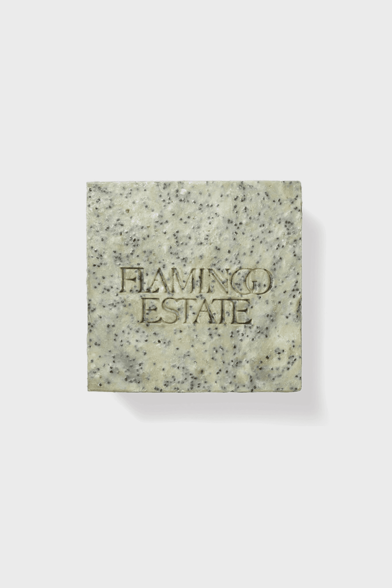 Exfoliating Peppermint Soap Brick - Image 1
