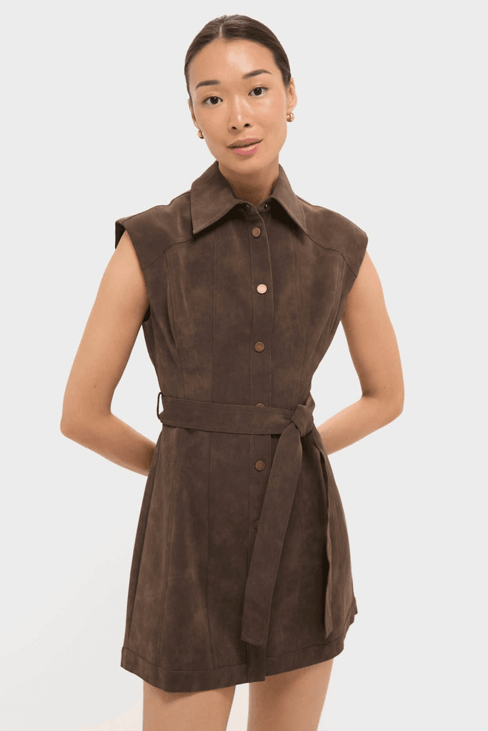 Suede Miller Mini Dress - Image 1