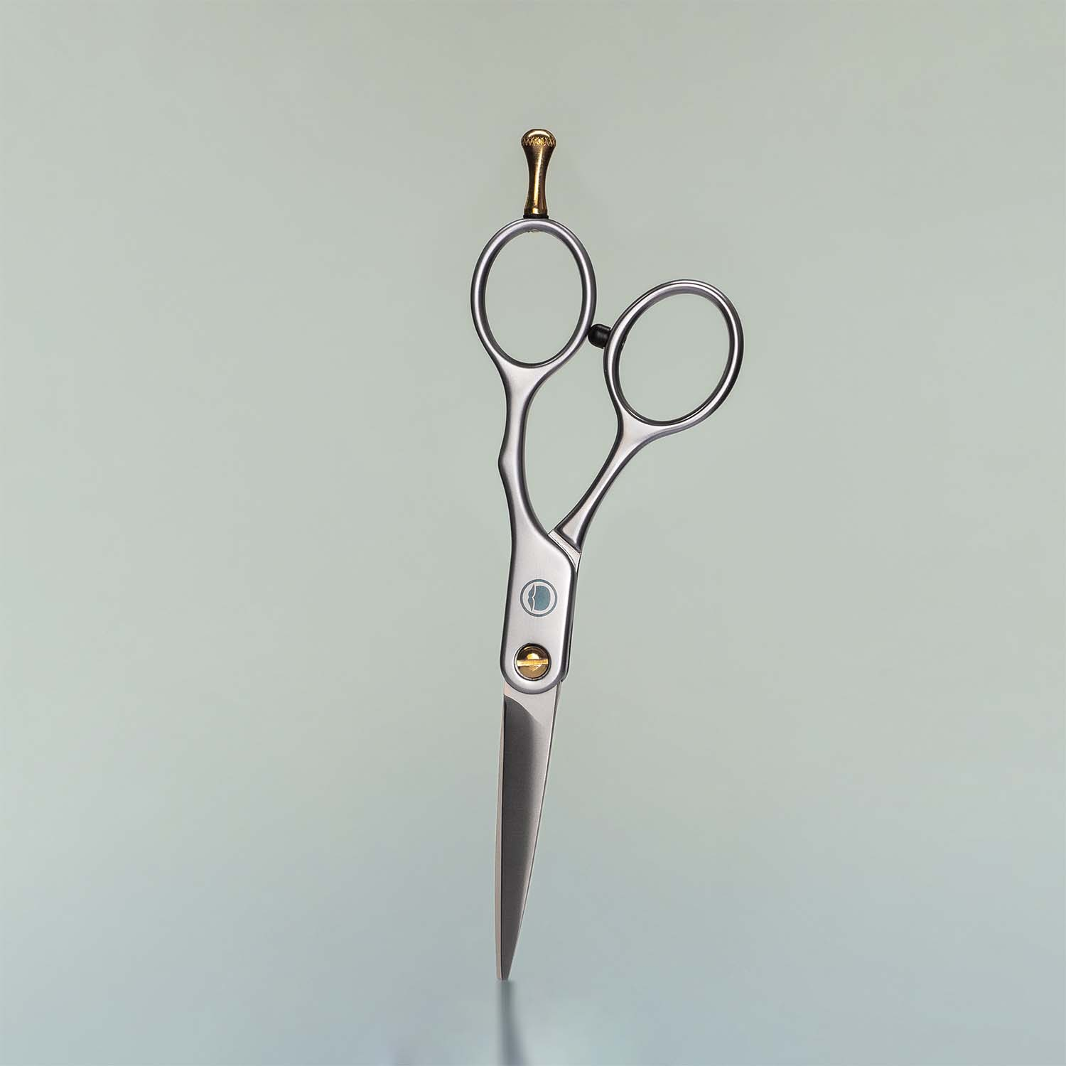 Beard Trimming Scissors - Image 1
