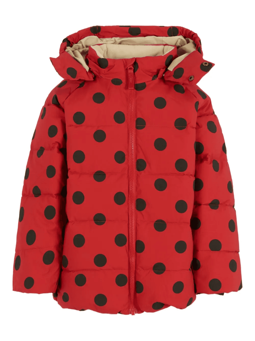polka-dot puffer jacket - Image 1