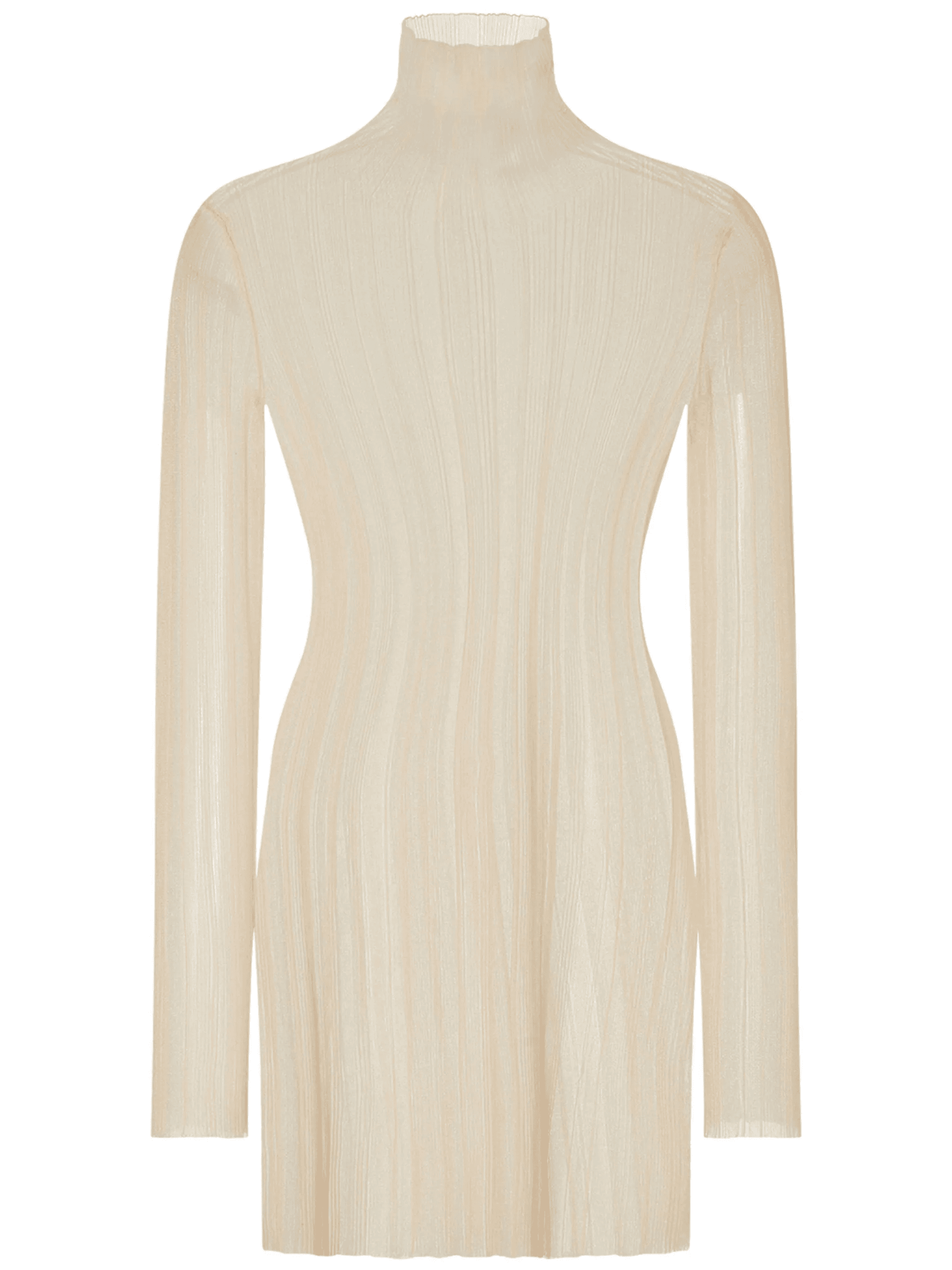 sheer plissé dress - Image 1