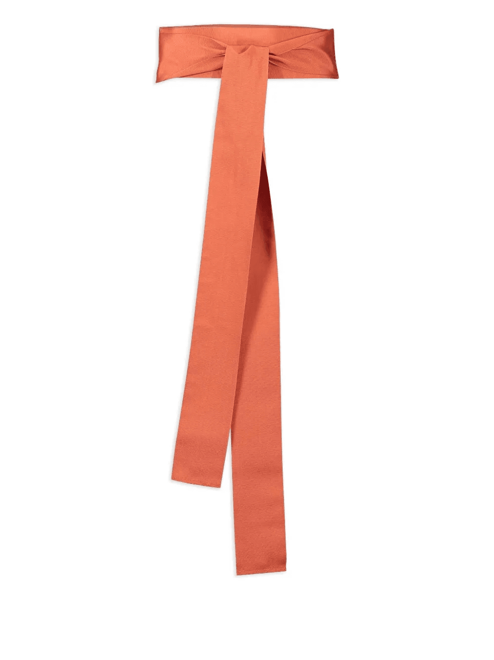 Ribbon belt - Image 1