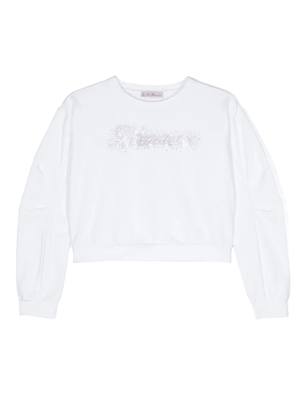 crystal-logo sweatshirt - Image 1