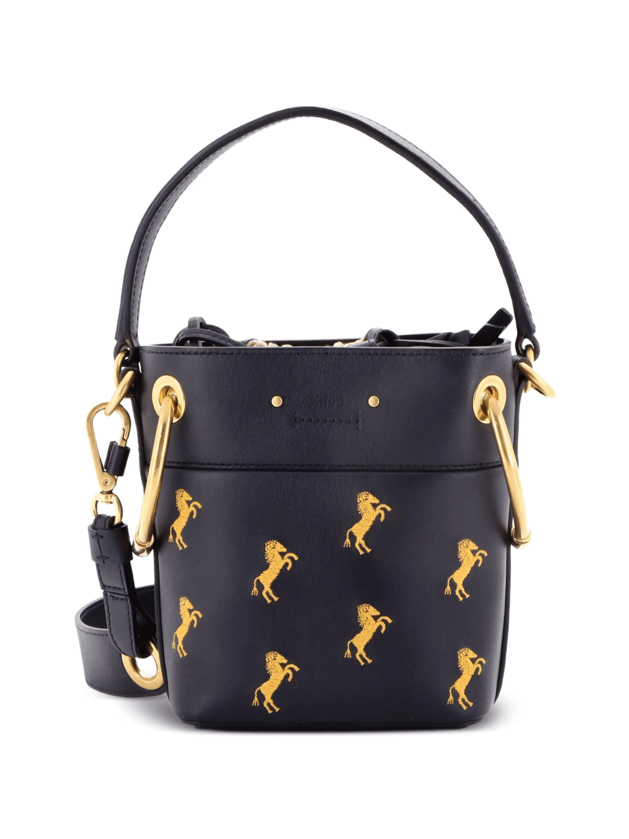 Roy Embroidered Leather Mini bucket bag - Image 1