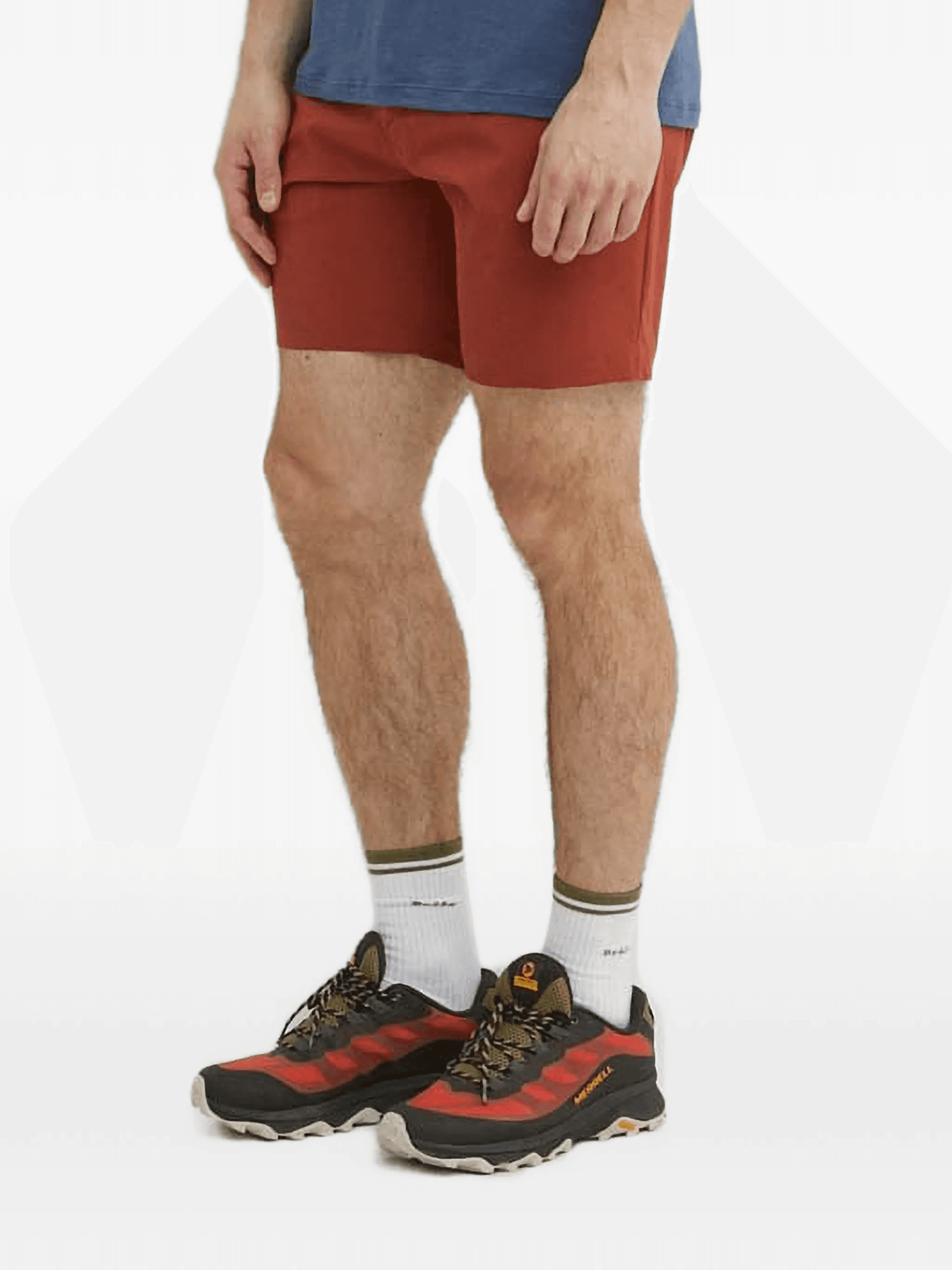 belted  shorts - Image 1