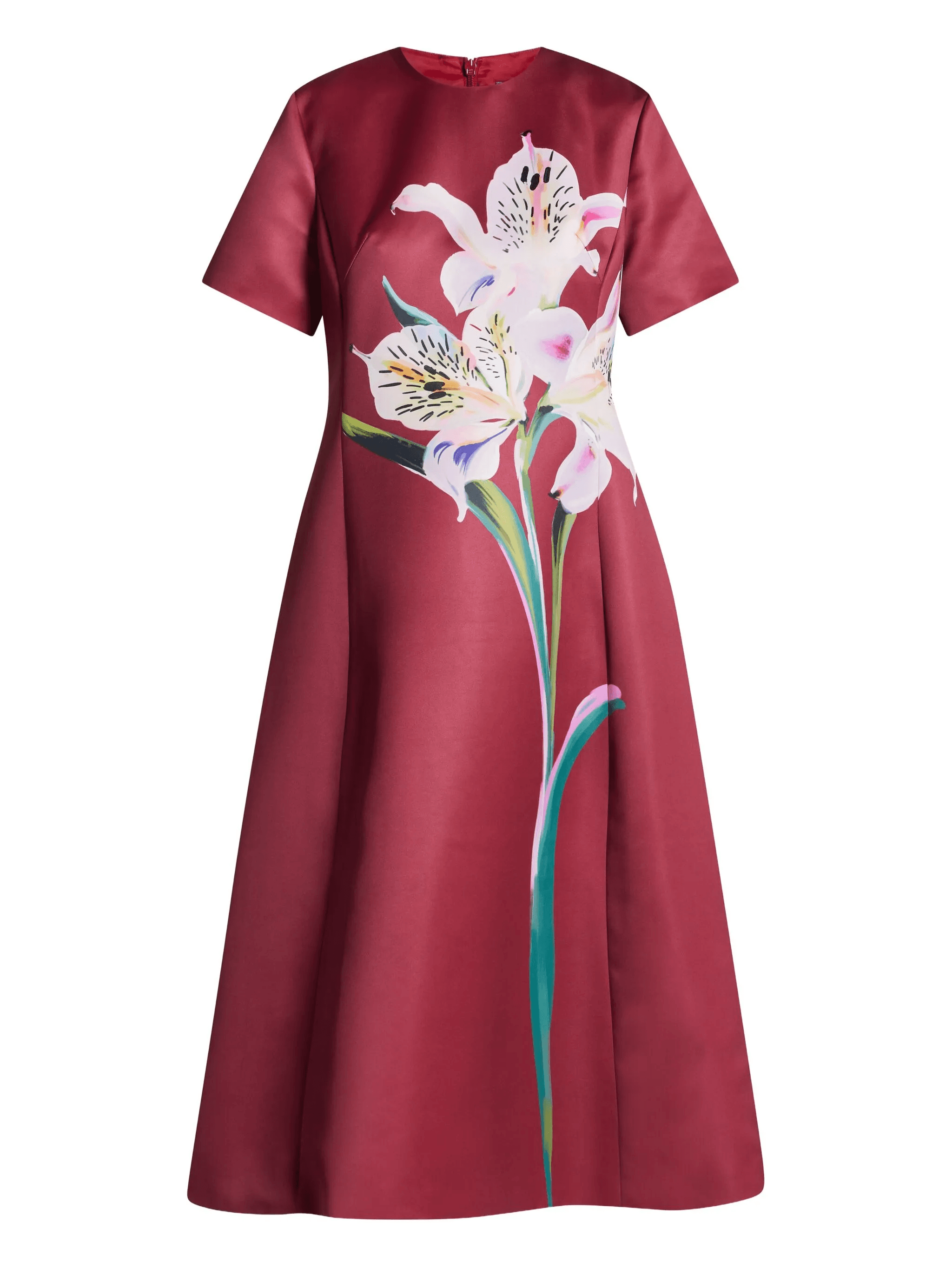 Caroline floral-print short-sleeve dress - Image 1