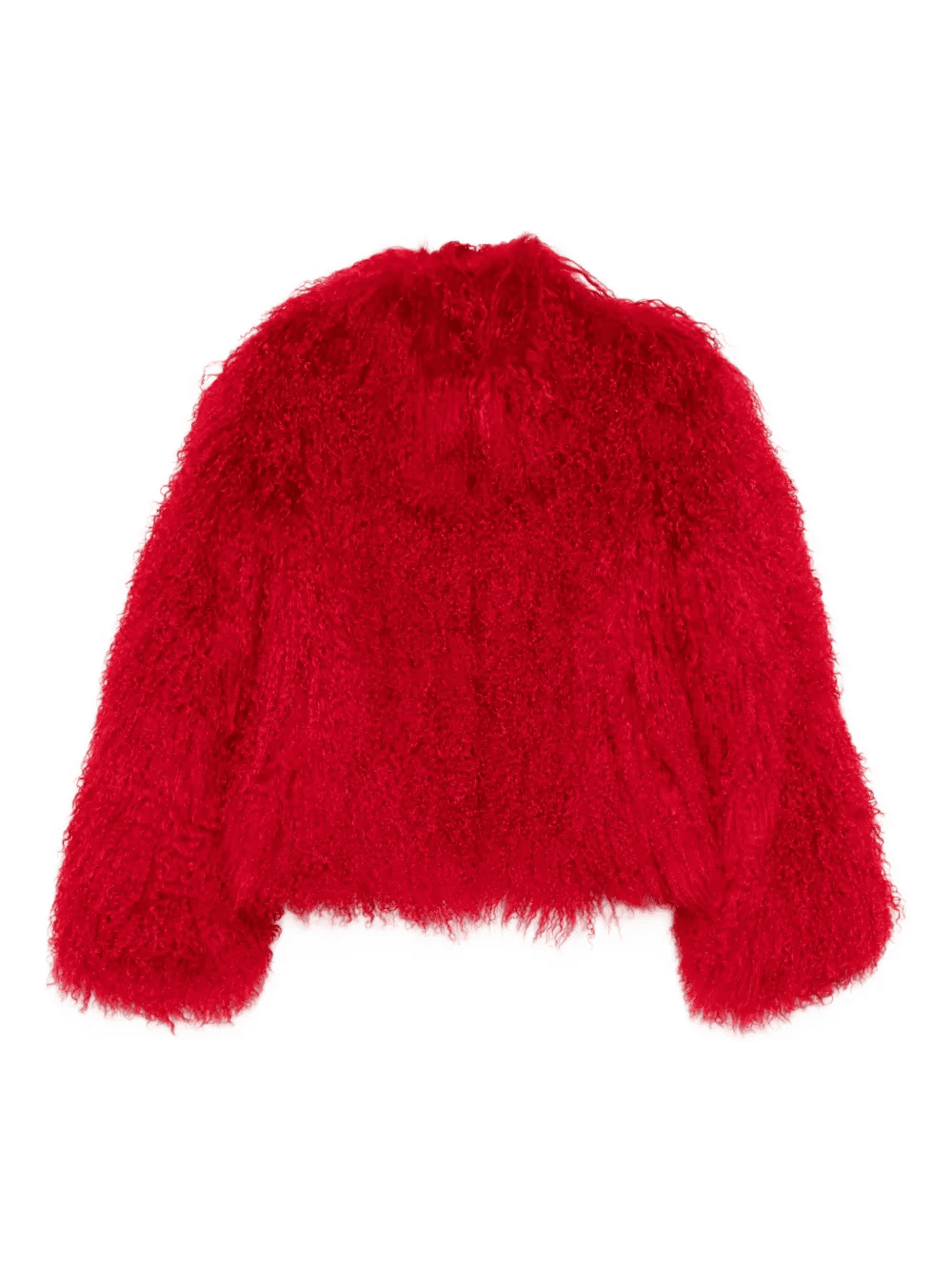 Rochelle shearling jacket - Image 1
