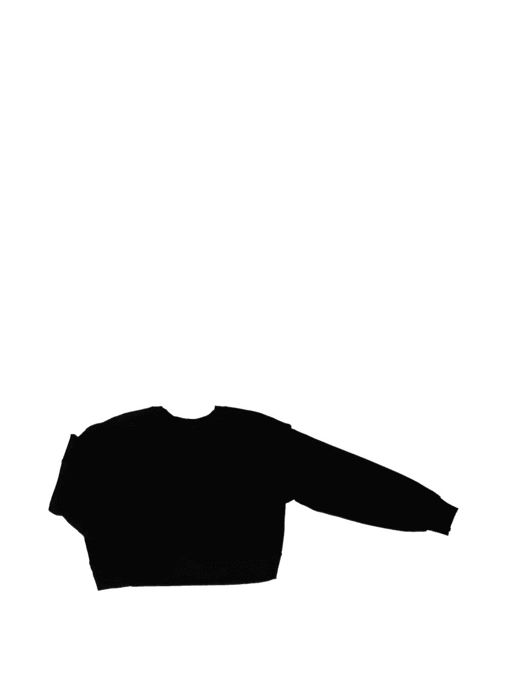 The Solace crew neck sweatshirt - Image 1