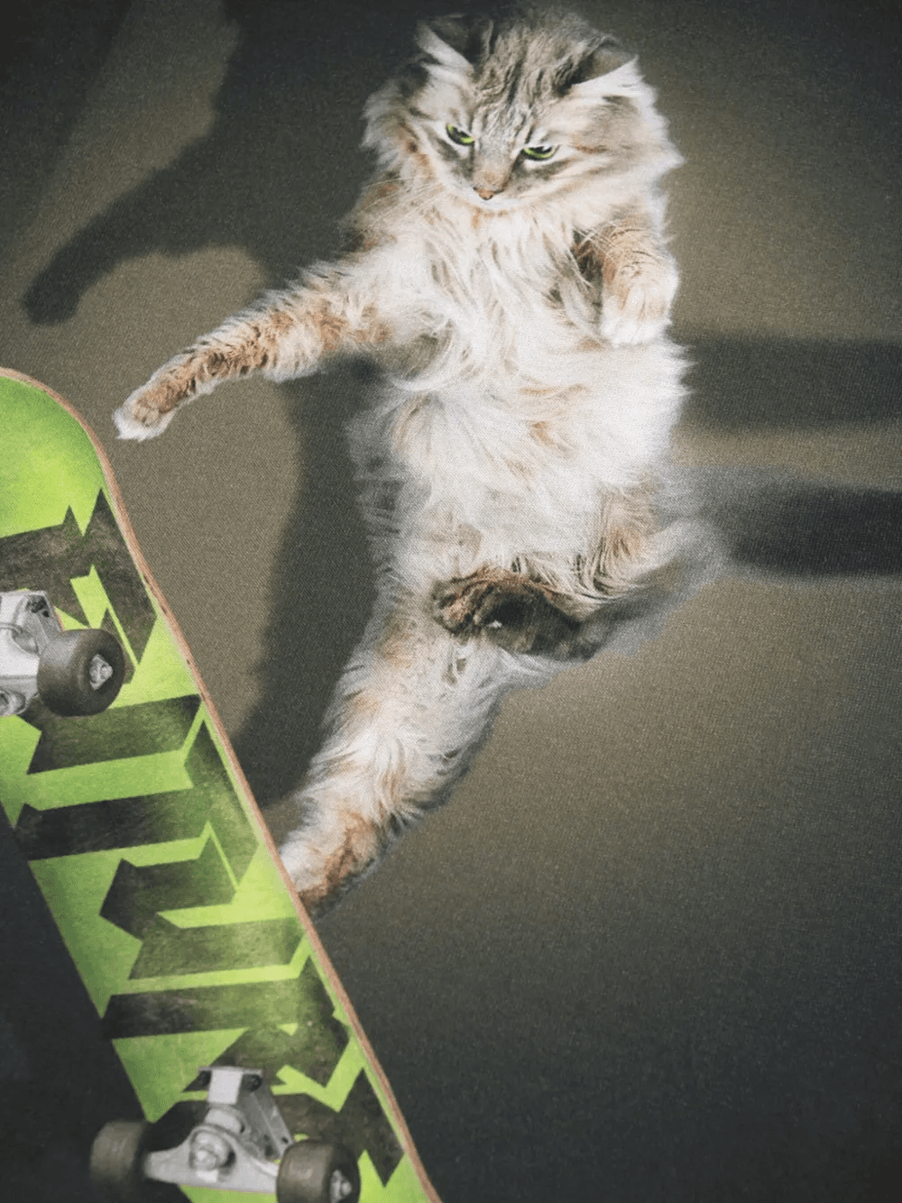 skateboarding cat graphic T-shirt - Image 1