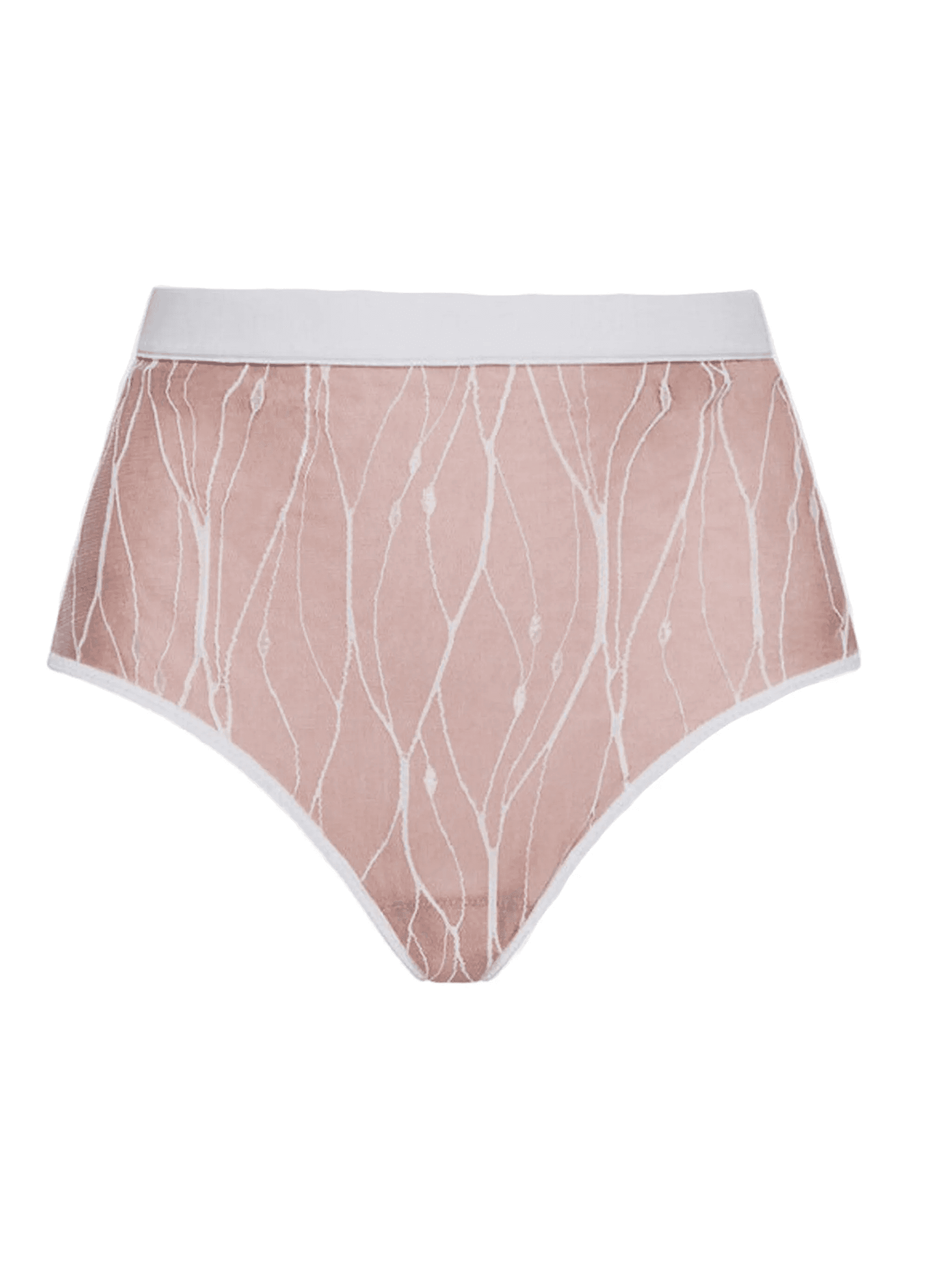 Walking In Clouds lace briefs - Image 1