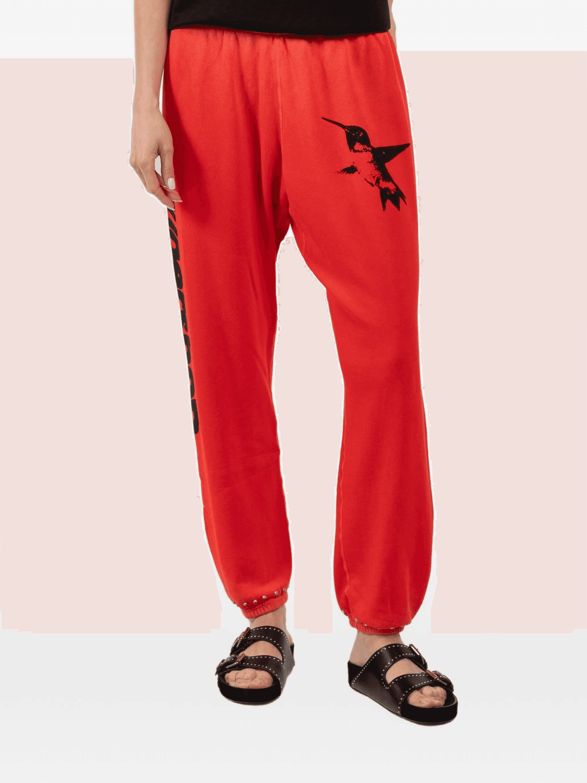 hummingbird studded trousers - Image 1