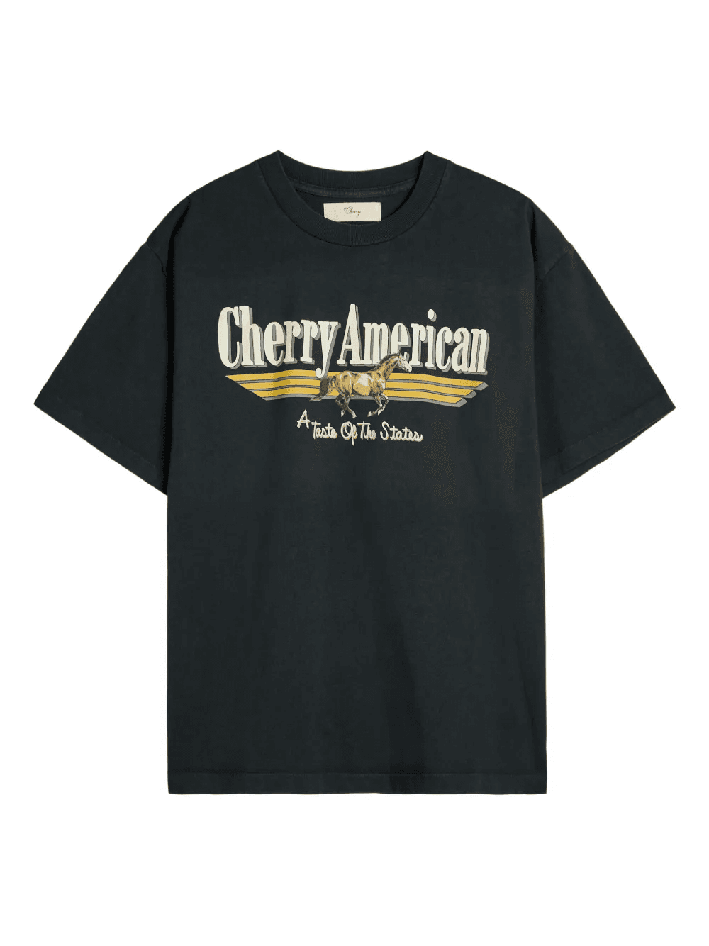 Coast To Coast horse graphic T-shirt - Image 1