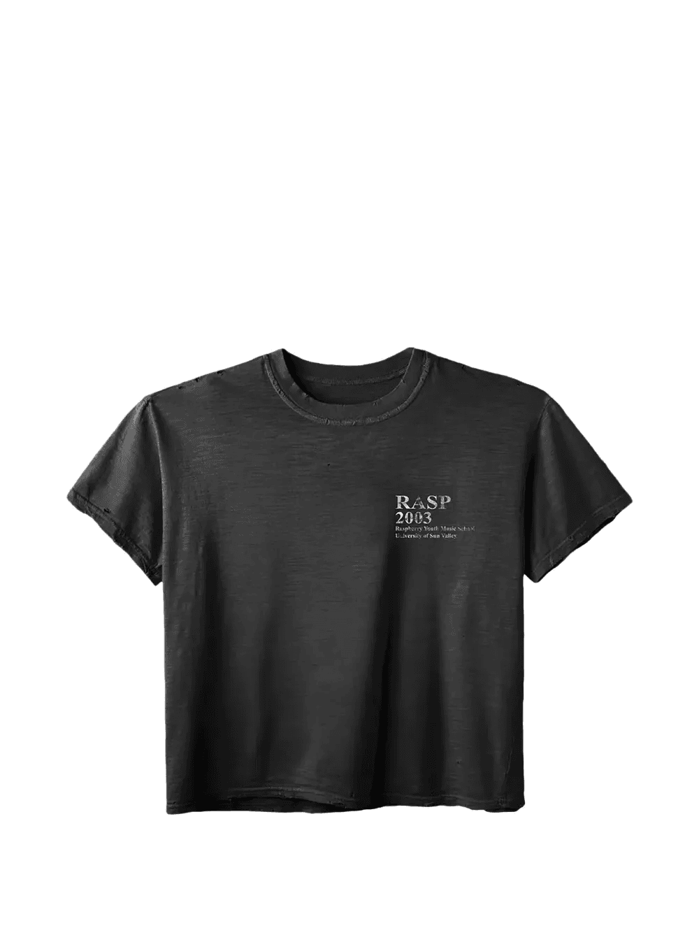 Raspberry Hills Music T-shirt - Image 1