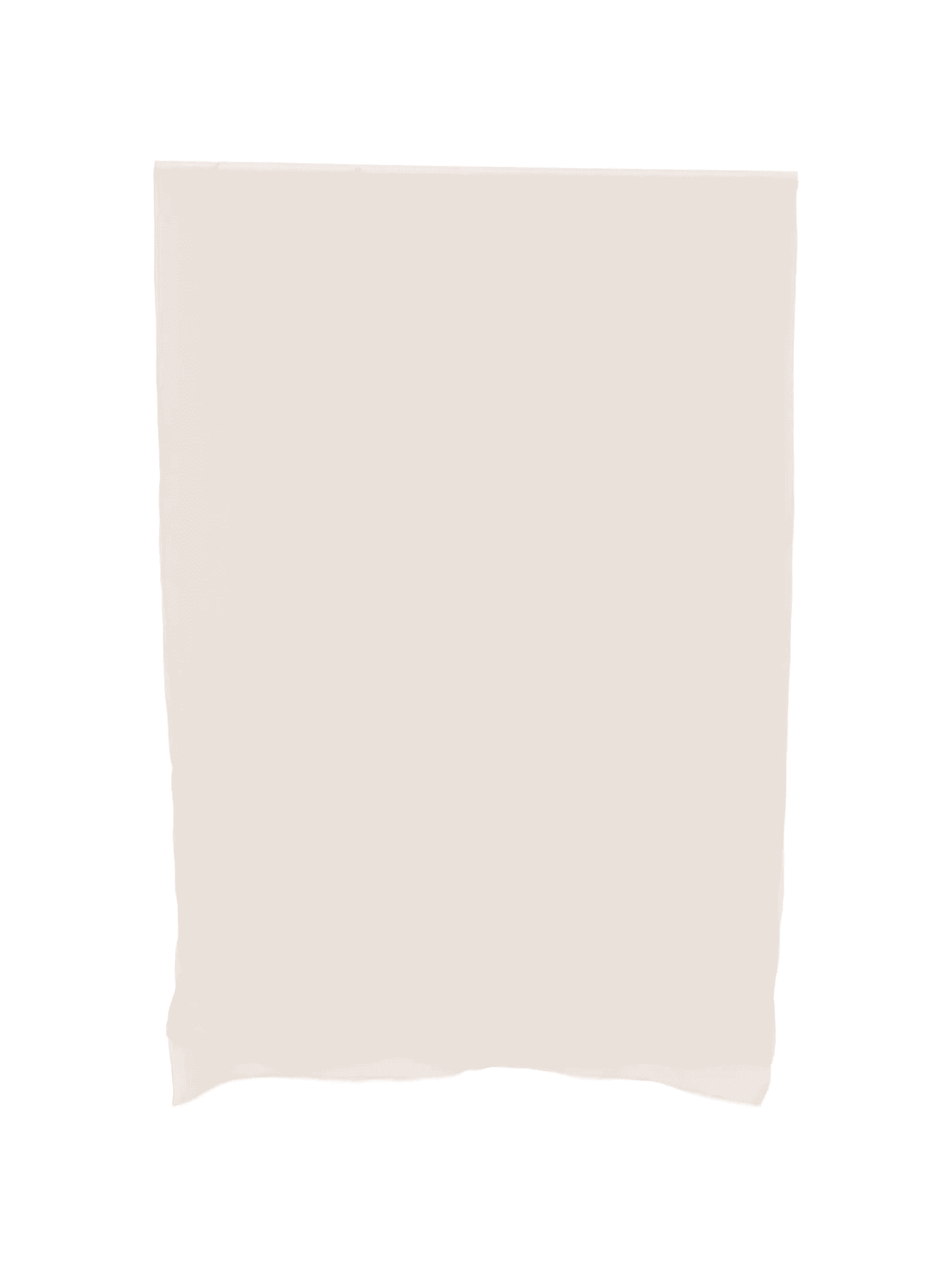 silk scarf - Image 1