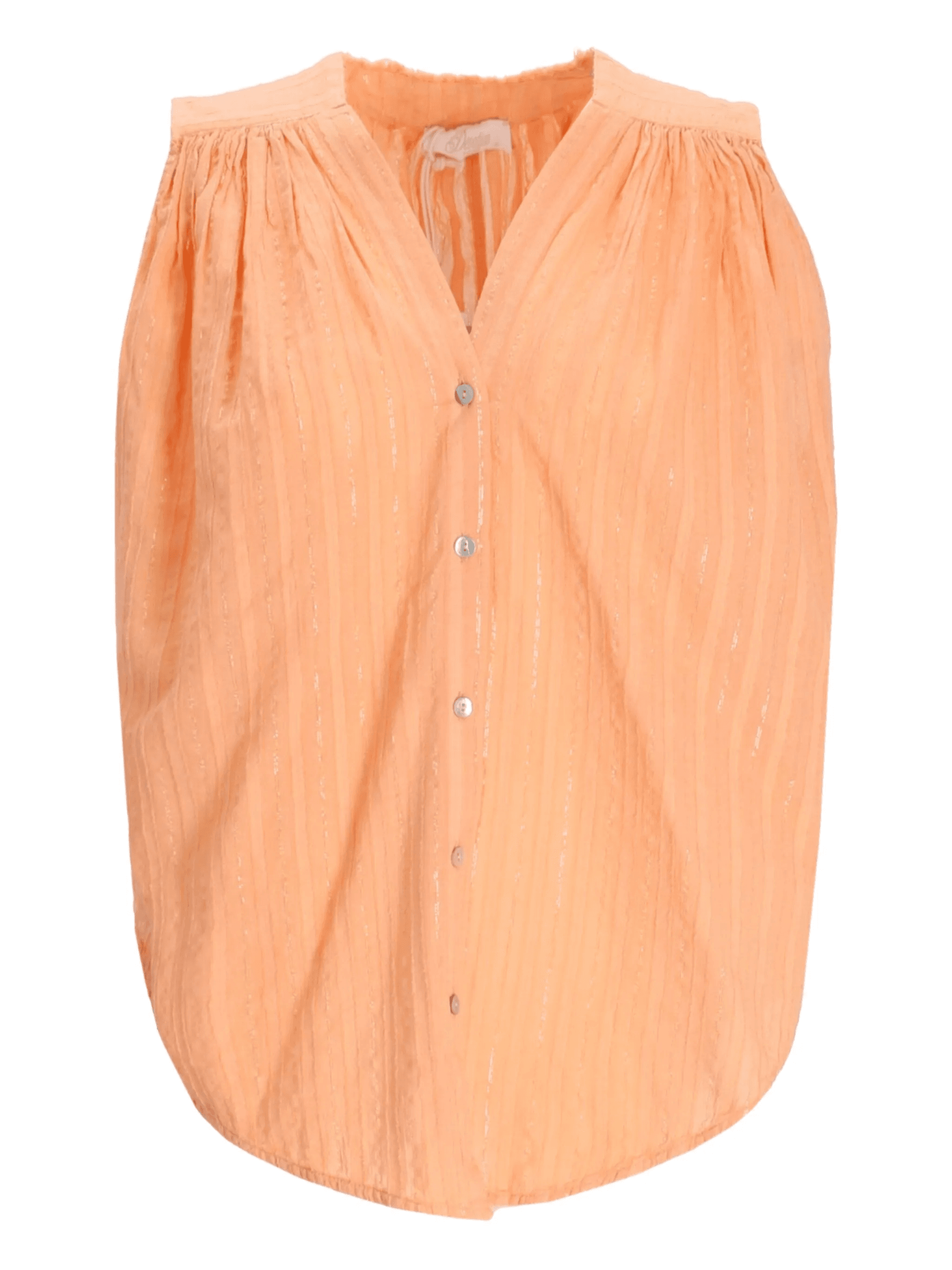 Iris metallic-striped sleeveless blouse - Image 1