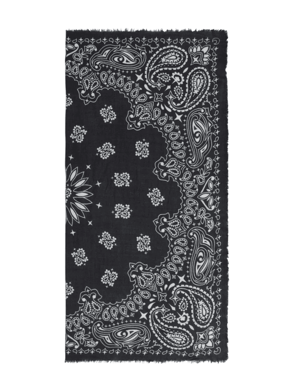 paisley-print fringed scarf - Image 1