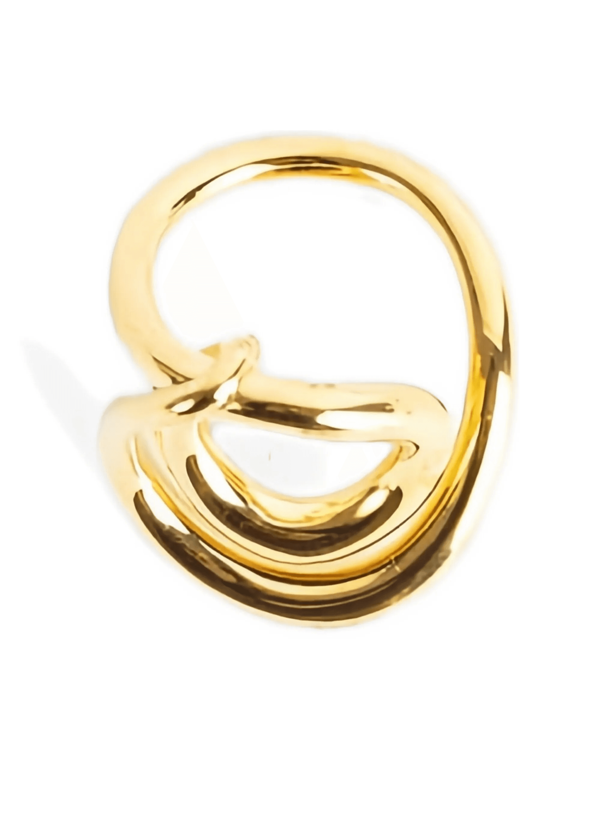 Lasso ring - Image 1