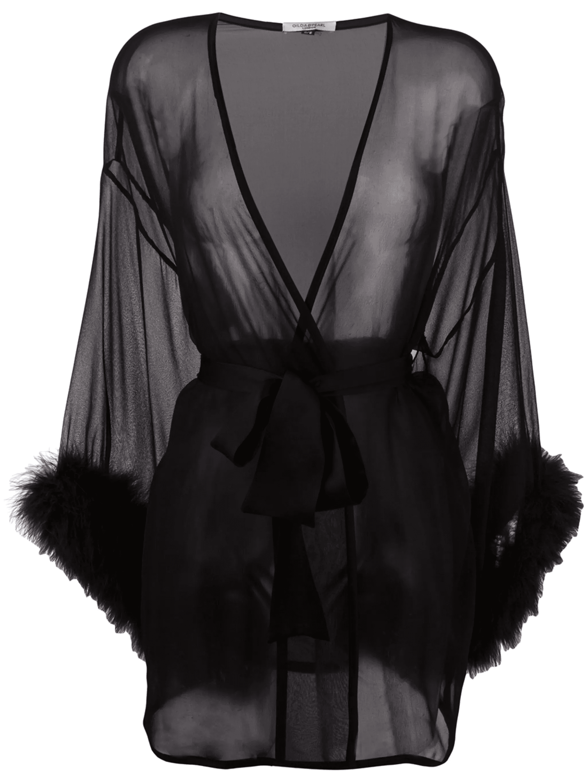 Diana sheer silk robe - Image 1