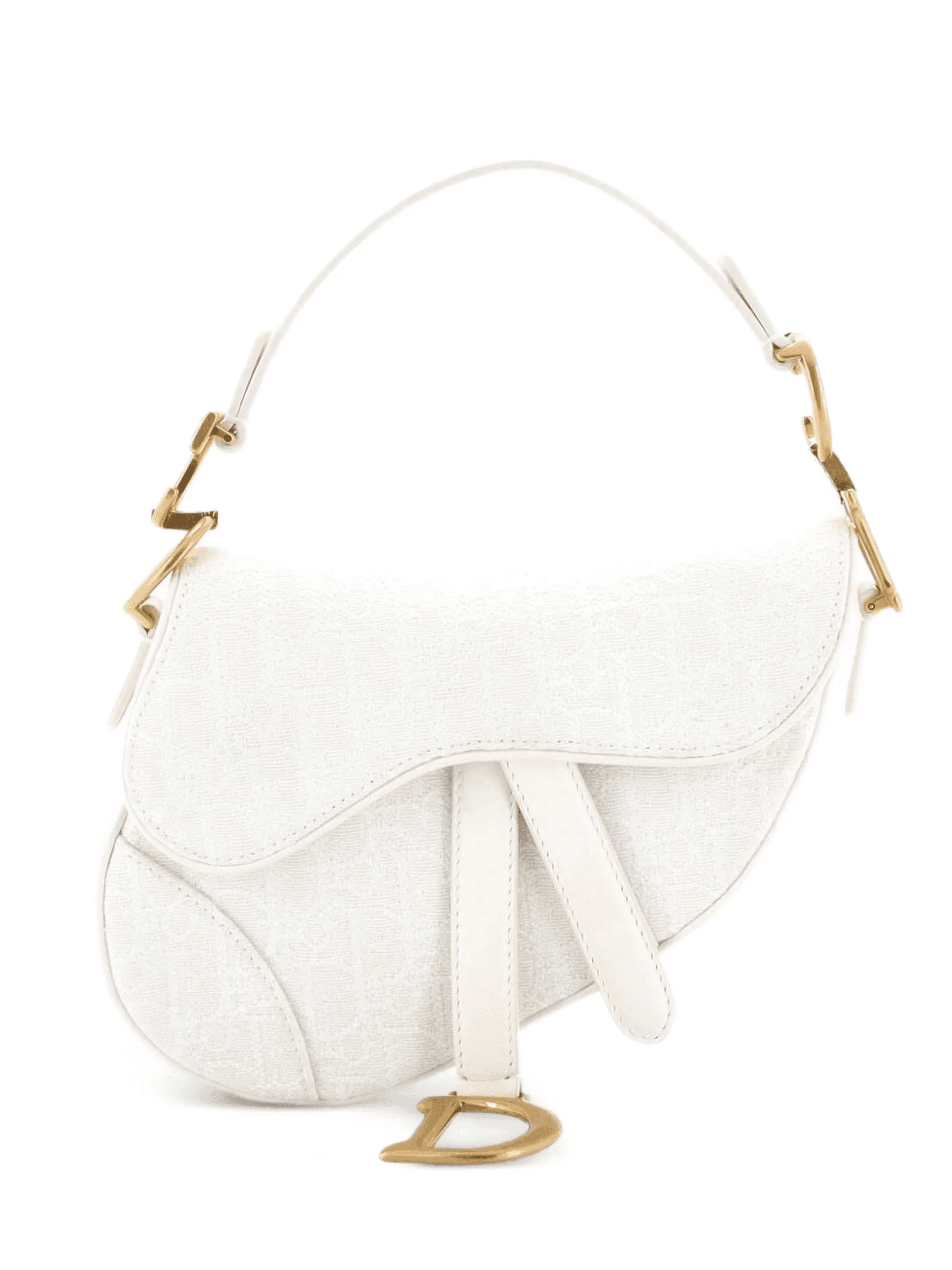 Saddle Handbag Oblique Canvas Mini shoulder bag - Image 1
