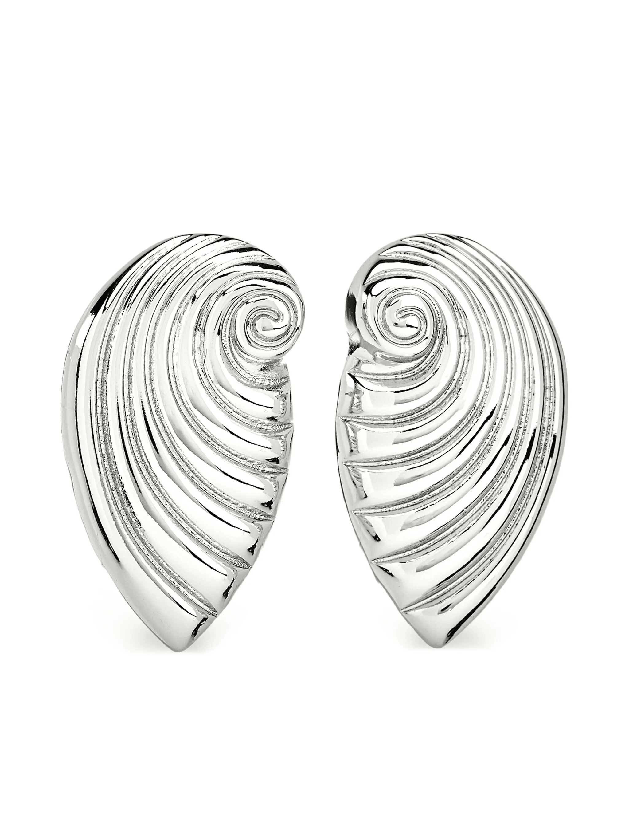 seashell earrings - Image 1