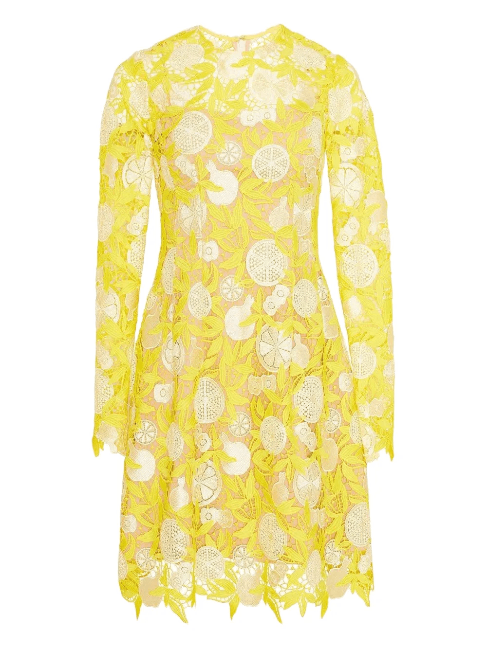 Holly fruit-motif lace mini dress - Image 1