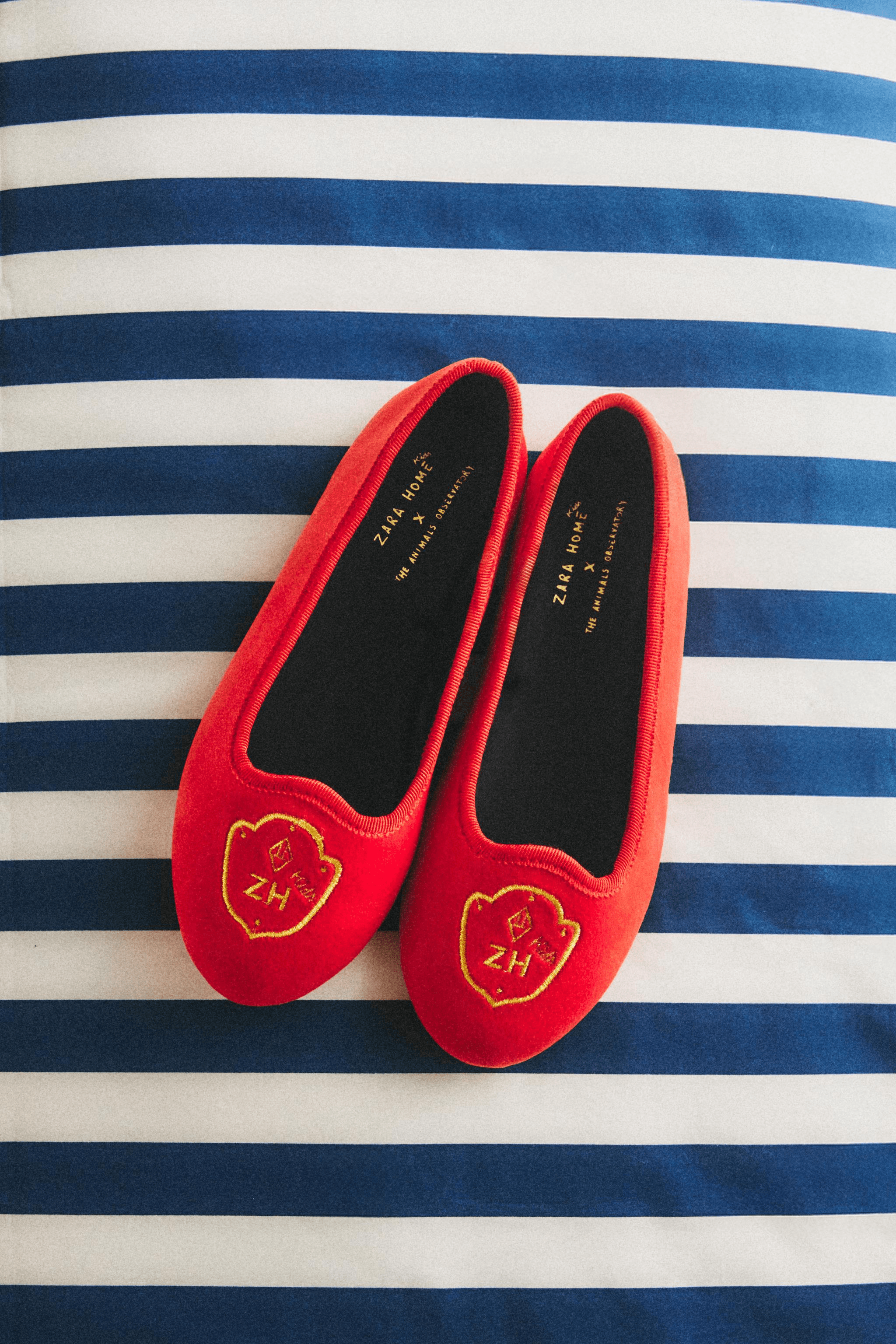 KIDS VELVET SLIPPERS THE ANIMALS OBSERVATORY - Image 1