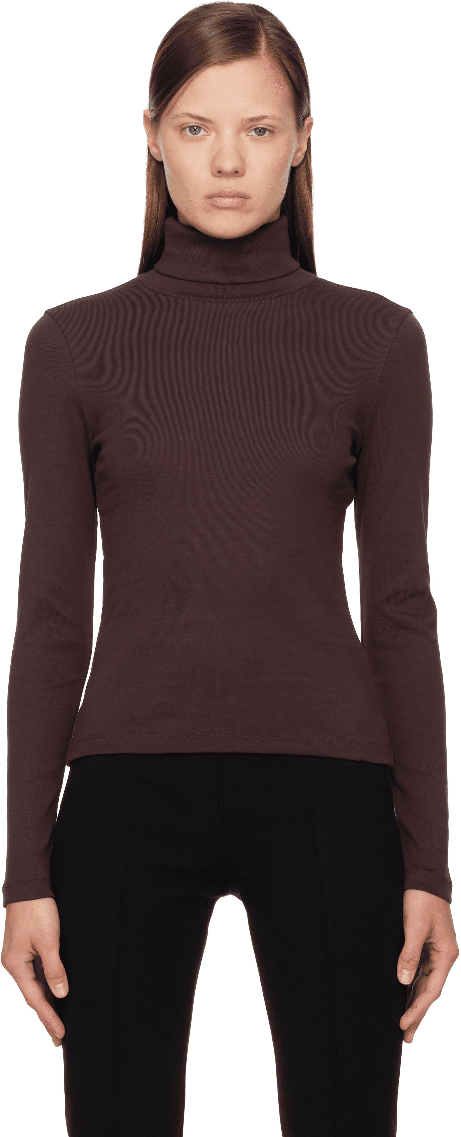 Brown Dinah Turtleneck - Image 1