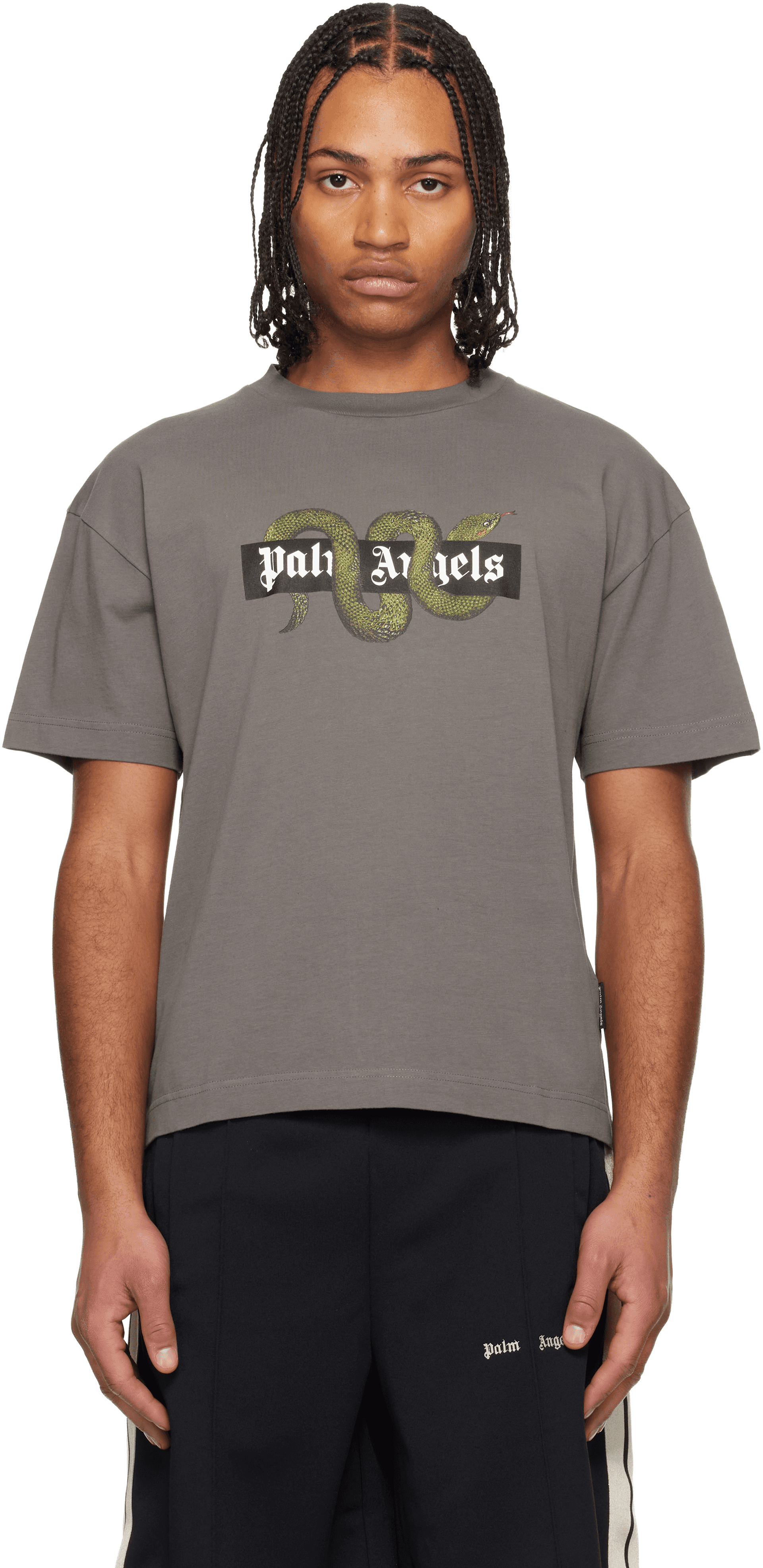 Gray Snake Box Logo Regular T-shirt - Image 1